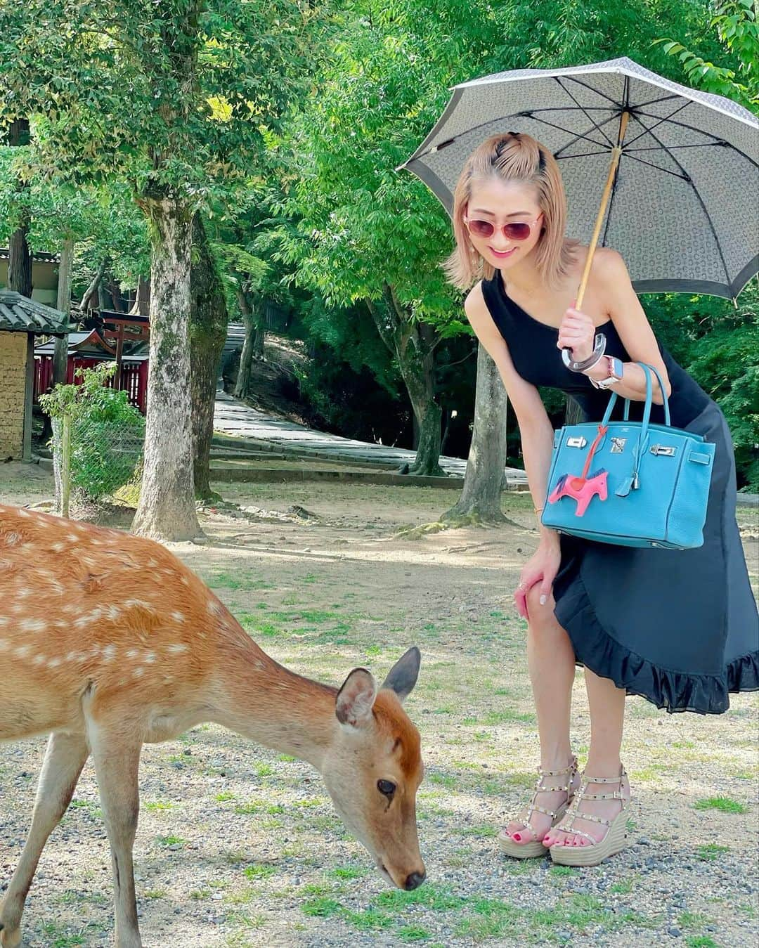 彩耶さんのインスタグラム写真 - (彩耶Instagram)「#夏の思い出  お馬さん🐴の次は…  奈良の鹿ちゃんと🦌戯れたっ笑 可愛かった〜💕 ⠀⠀⠀ ⠀⠀  投稿できてなかったので #時差投稿  一 𝐽𝑊 𝑀𝑎𝑟𝑟𝑖𝑜𝑡𝑡 𝐻𝑜𝑡𝑒𝑙 𝑁𝑎𝑟𝑎 一 𝐽𝑊マリオットホテル奈良 に宿泊✨  ラグジュアリーでホスピタリティもすばらしくて😌✨大好きなホテルです🏨 ラウンジの雰囲気も好きだなぁ💕 ⠀⠀⠀ ⠀⠀  @jwmarriottnara  #jwmarriott #jwmarriotthotelnara #jwmarriotthotel #JWマリオットホテル奈良 #マリオット #エグゼクティブラウンジ #marriottbonvoy #marriott #奈良 #鹿 #奈良ホテル #ホテルライフ #marriotthotel #marriotthotelnara #hermes #birkin #birkin30 #hermesbirkin #birkinbluejean」9月20日 19時01分 - 3aya11