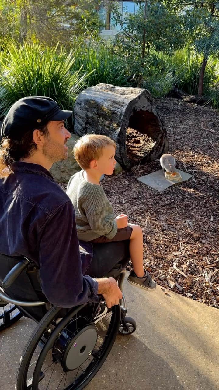 Australiaのインスタグラム：「Koala-ty neighbours and roar-some views await at @tarongazoo’s Wildlife Retreat 🐨🦁 Today, we’re joining @jaimenhudson and fam at #TarongaZoo - just a short, accessible ferry ride from @sydney’s CBD. Did you know more than 95% of the displays here are wheelchair accessible? There are also elevators and ramps throughout the property 👏 And, for guests with autism or sensory sensitivities, special Access Taronga days offer early entry on select dates. At other times of the year, grab the zoo’s visual story guide to help you prepare for your visit!   📍: @tarongazoo, @sydney, @visitnsw - home to the Gadigal people.   #SeeAustralia #ComeAndSayGday #FeelNSW #FeelNewSydney  ID: The video footage features Jaimen Hudson and his family at Taronga Zoo in Sydney. The video opens with a shot of an echidna in front of Jaimen in a wheelchair before taking us through some of the other zoo exhibits. As the scene transitions, viewers are given a glimpse of Taronga Zoo’s luxurious wildlife retreat. Here, the family is seen enjoying the view of the city skyline and local wildlife from their balcony.」