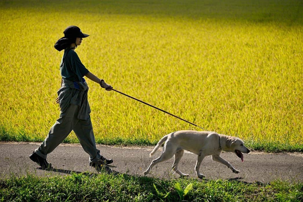 潮田あかりのインスタグラム：「たまらなく可愛かったスカイ🐕農薬を使わずに作っている野菜、ピーマンを採らせてもらって🫑たくさんのお土産も🥒🌶️フルーツはこんなに買っても2000円で甘くて美味しくて🤤たくさんの自然に触れて幸せだった2日間〜ありがとう🥰🌿 @sachioohara7 @tomoya327」