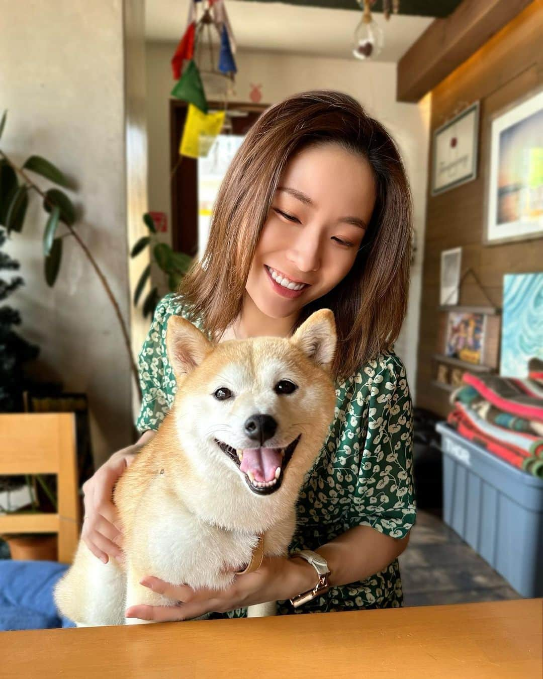 本条舞のインスタグラム：「ころちゃんと過ごす最高の休日🐕  #本条舞 #actor #actress #豆柴  #柴犬 #mameshiba  #shibainu #pet #japan #kawaii #dog #いぬのきもち #犬のいる暮らし #shiba_snap #わんこ動画 #시바 #赤柴 #shiba #赤豆柴#ドッグカフェ」