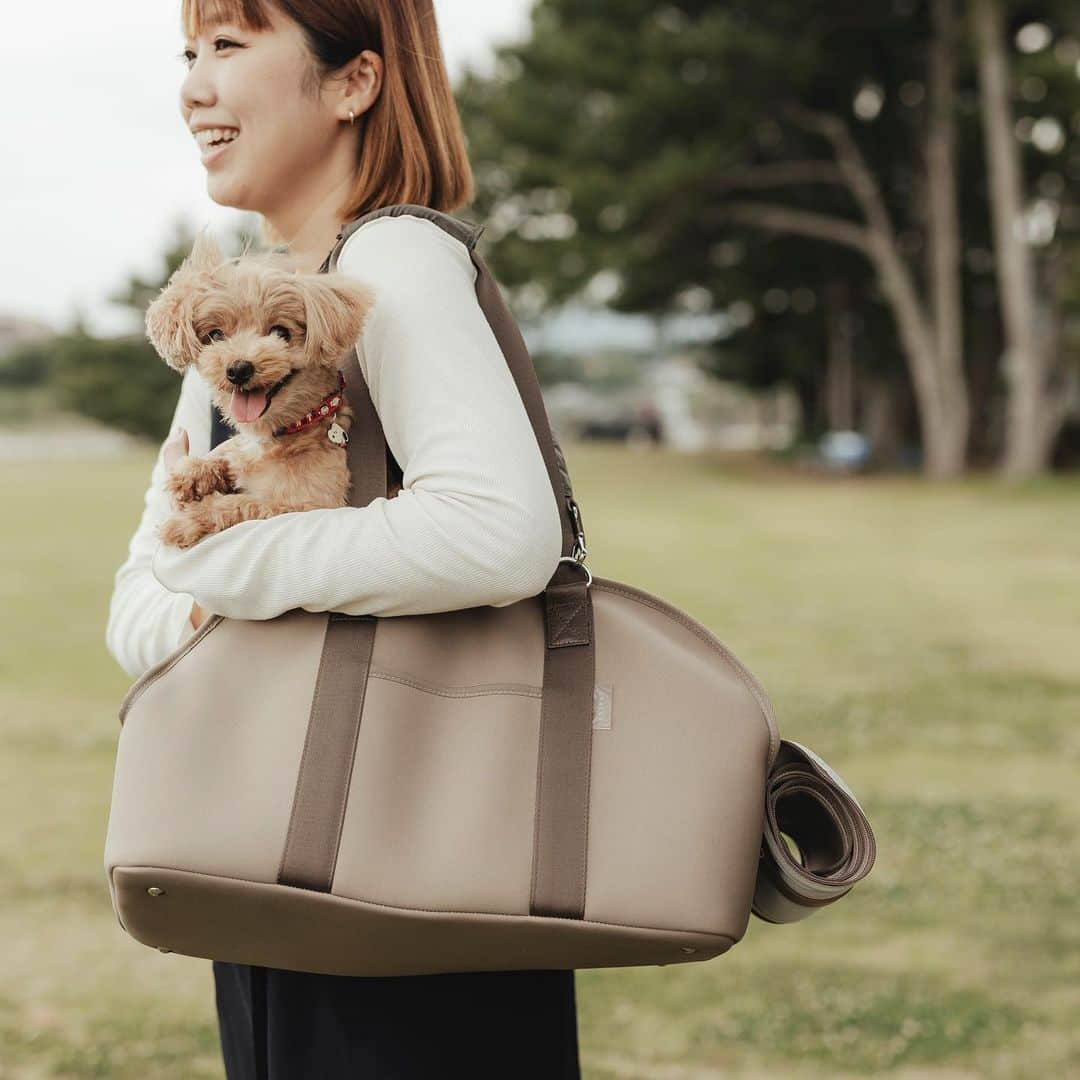 柴犬ハル&保護犬すずのインスタグラム：「👜 . 皆様へご報告です💐 . 実は先日、コラボバッグ第二弾を 発売しました😉 . 前回とおなじく、 @edita.official  さんと何度も打ち合わせを 繰り返し行い、生地などもこだわり、 愛するペットと一緒にお出かけや、 病院などの際に使えるキャリーバッグを 作りました👜 . ポイント💁‍♀️ •とても軽くて汚れたら洗える生地 •内側に脱走防止のリードフック付き •トイレのゴミを収納できる脱臭ポーチ付き •中の様子が見えるメッシュの蓋付きで通気性抜群 •底に保冷剤などを入れられるポケット付き •男女問わず使える色とデザイン •旅行やジムや温泉など人間用としてもオススメ . などたくさんの機能と愛情を詰め込みました❤️‍🔥 .  そして、今回のバッグは、小型犬や猫が入れるサイズで 体重6キロまでの子が使えるタイプです🙇‍♀️ ハルとすずは体重オーバーなので、 友達の愛犬ペコちゃんが今回モデルとして 出演してくれました🍓カワイカッ。。❤️ . 我が家では、人間用のバッグとして、 ガシガシ使用しています🚗 とても軽いので、温泉、ジム、ゴルフ、旅行、etc.. ペット用だけではなく普段使いとしても、 かなり重宝していてオススメです✈️ . こっそりひっそりと、 楽天のページで発売していたバッグですが キャリー部門1位だった🫢驚き。。 本当にありがとうございます💐 . そして発売を記念して、 明日20:00から　@edita.official  さんと インスタライブ配信を行いますので お時間ある方は是非よろしくお願い致します🥂 . #長くなりましたが笑 #自信作のバッグ出来ました #二重顎のおかーしゃーんをお許しください😂 #ようやく発表できて嬉しいです #楽天のページはプロフィール欄に貼っています📱 . #柴犬#柴#kagoshima#dog#puppy#shibainu#shibastagram#いぬバカ部#family#cat#鹿児島#雑種#天文館#日本犬#bag#バッグ#キャリー#キャリーバッグ#トートバッグ」