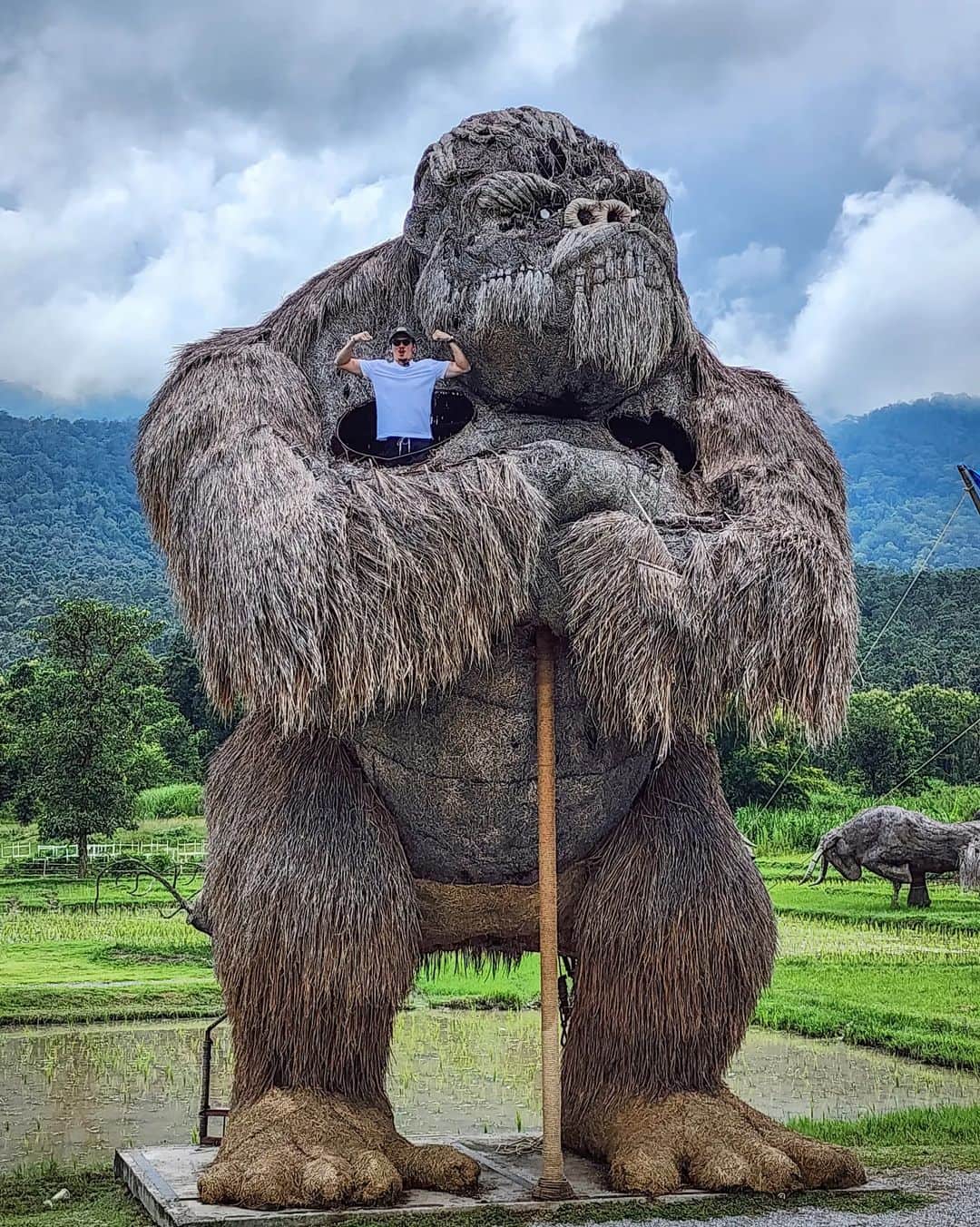 芳賀勇一さんのインスタグラム写真 - (芳賀勇一Instagram)「🌲→⛰️→⛰️→🦍 Amazing in Chiang Mai YouTubeで詳しくお伝えします。 お楽しみに🎬  #thailand #chiangmai #youtube #trip #modeling #nature #チェンマイ #旅行 #グルメ #旅 #海外 #タイ」9月20日 20時22分 - yuichihaga226