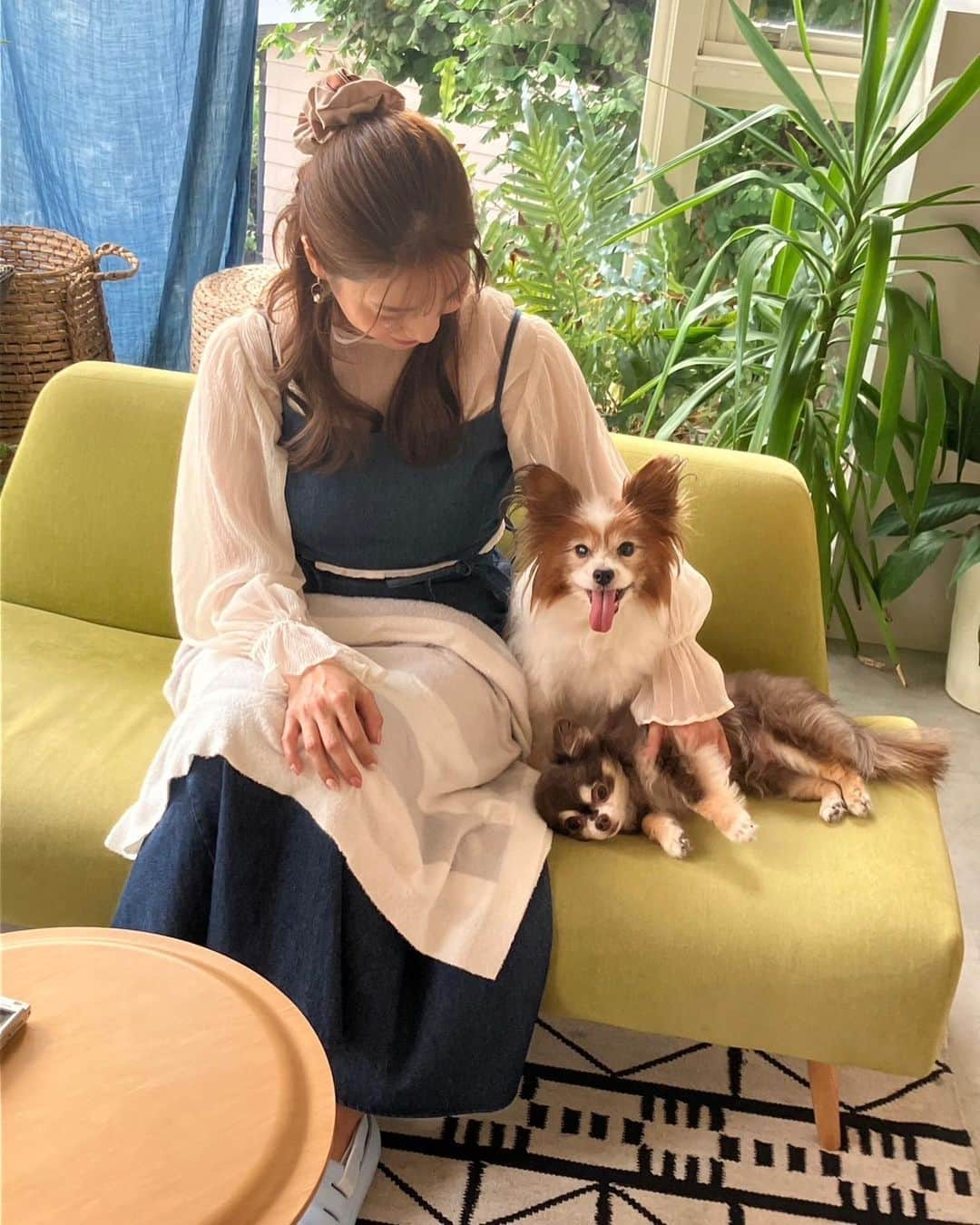 大島麻衣さんのインスタグラム写真 - (大島麻衣Instagram)「家族写真♡ 愛犬たちとの仕事は嬉しいですね🐶まったり幸せ空間でした☺️ に、してもチュロス！！ 君は撮影を忘れてくつろぎすぎ！！ww タルトは圧巻のモデル犬ぶりでした📷👏 詳細はまた追って📚 #パピヨン #パピヨン大好き #パピヨン部 #チワワ #チワワ部 #チワワ大好き #愛犬 #愛犬と一緒 #いぬすたぐらむ #dog #doginstagram」9月20日 20時42分 - maioshima911