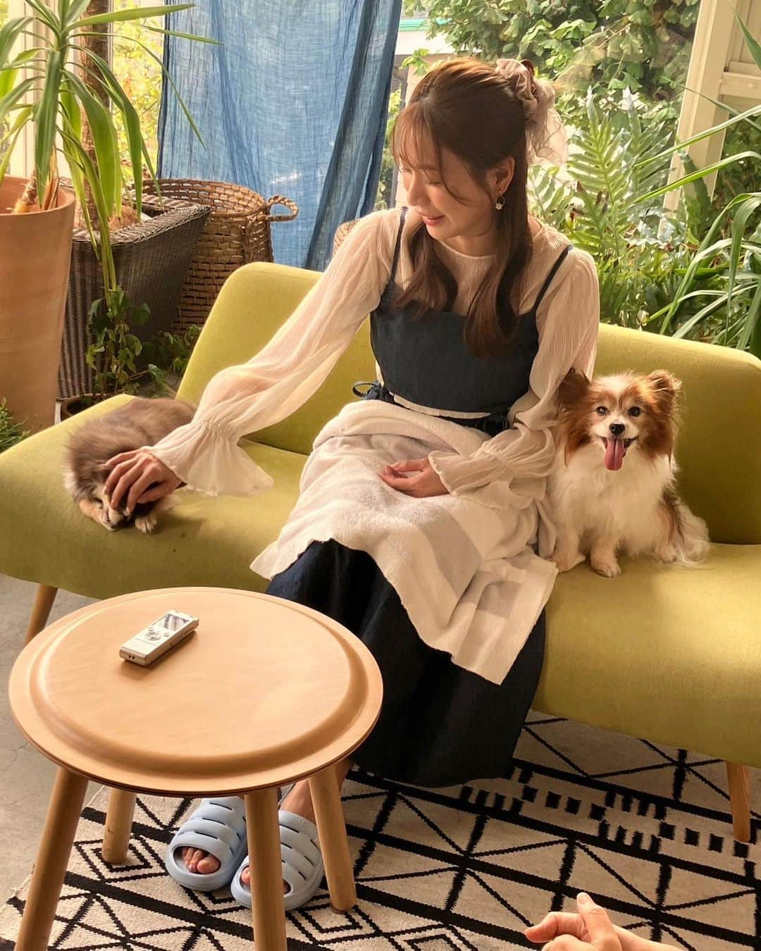 大島麻衣さんのインスタグラム写真 - (大島麻衣Instagram)「家族写真♡ 愛犬たちとの仕事は嬉しいですね🐶まったり幸せ空間でした☺️ に、してもチュロス！！ 君は撮影を忘れてくつろぎすぎ！！ww タルトは圧巻のモデル犬ぶりでした📷👏 詳細はまた追って📚 #パピヨン #パピヨン大好き #パピヨン部 #チワワ #チワワ部 #チワワ大好き #愛犬 #愛犬と一緒 #いぬすたぐらむ #dog #doginstagram」9月20日 20時42分 - maioshima911