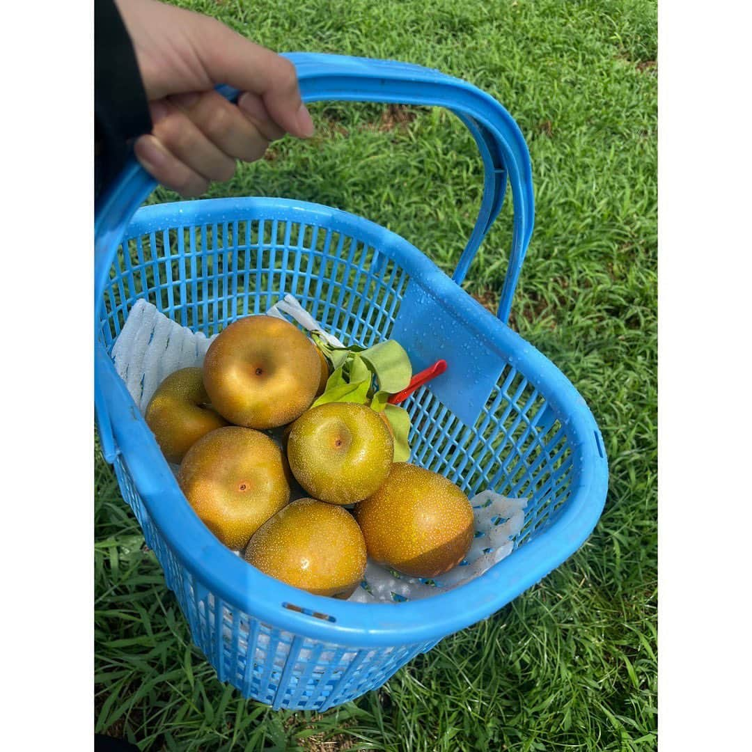 原田葵のインスタグラム：「🍐👩‍🌾🌧️🌈」