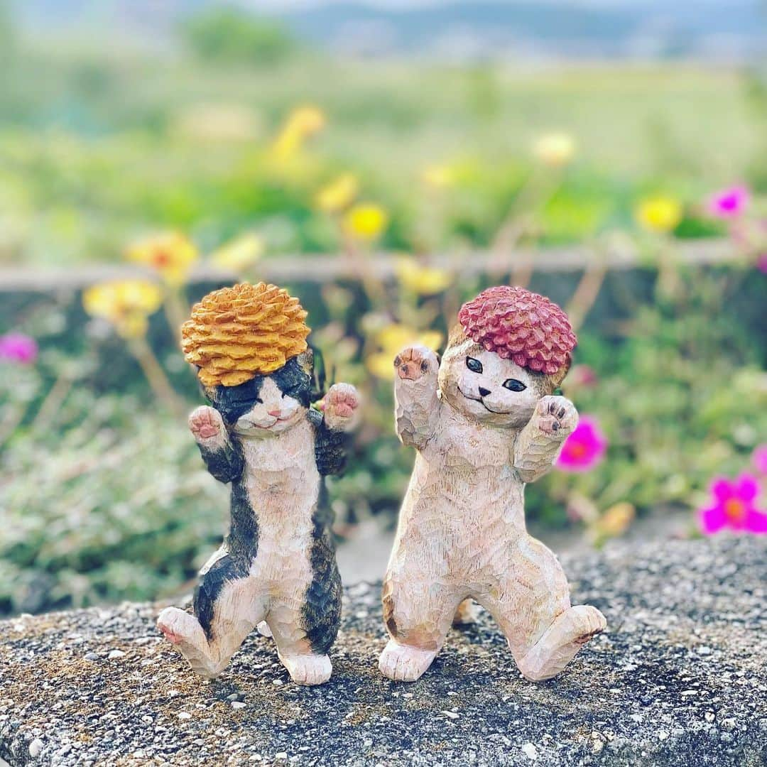 花房さくらさんのインスタグラム写真 - (花房さくらInstagram)「ダリアの子の肉球は、うちの猫のおまめを参考にして色を塗ったんだよ。  #お花のおはなし  #cat #sculpture #hanafusasakura」9月20日 21時09分 - sakura_hanafusa