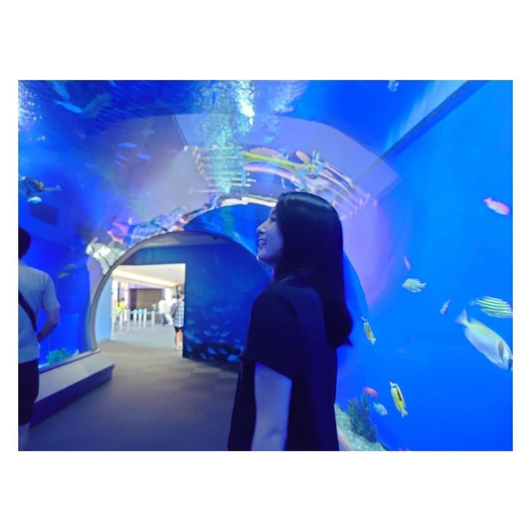 小野彩香さんのインスタグラム写真 - (小野彩香Instagram)「久々に水族館へ行きました！ 大人もテンション上がったり癒されたり 学びもあり、楽しめますね🐧🪼🦈🦭 #海遊館  #ジンベイザメ  #とにかく眠そうなアザラシ #にだんばらペンギン」9月20日 21時12分 - onoayaka_official