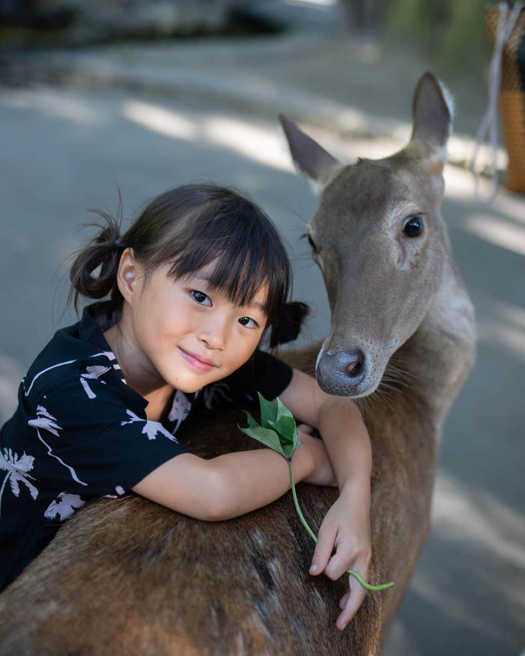 Kyooonさんのインスタグラム写真 - (KyooonInstagram)「Bali Zoo🦣 思い出に写真も投稿 （最後の顔😂）  この日は仲良しのお友達も一緒に👭  お友達は生後4ヶ月からバリに住んでいて（今は5年生） 日本語、インドネシア語、英語が話せてお仕事として通訳をお願いすることも‥😳  この歳から自分で仕事にできる力あるってすごいよね🥺👏  どんな環境の中でも、自分自身で豊かな人生を生きることができる！ 娘たちもそんな心や力を高めて欲しいな〜  #」9月20日 21時45分 - fancykyon