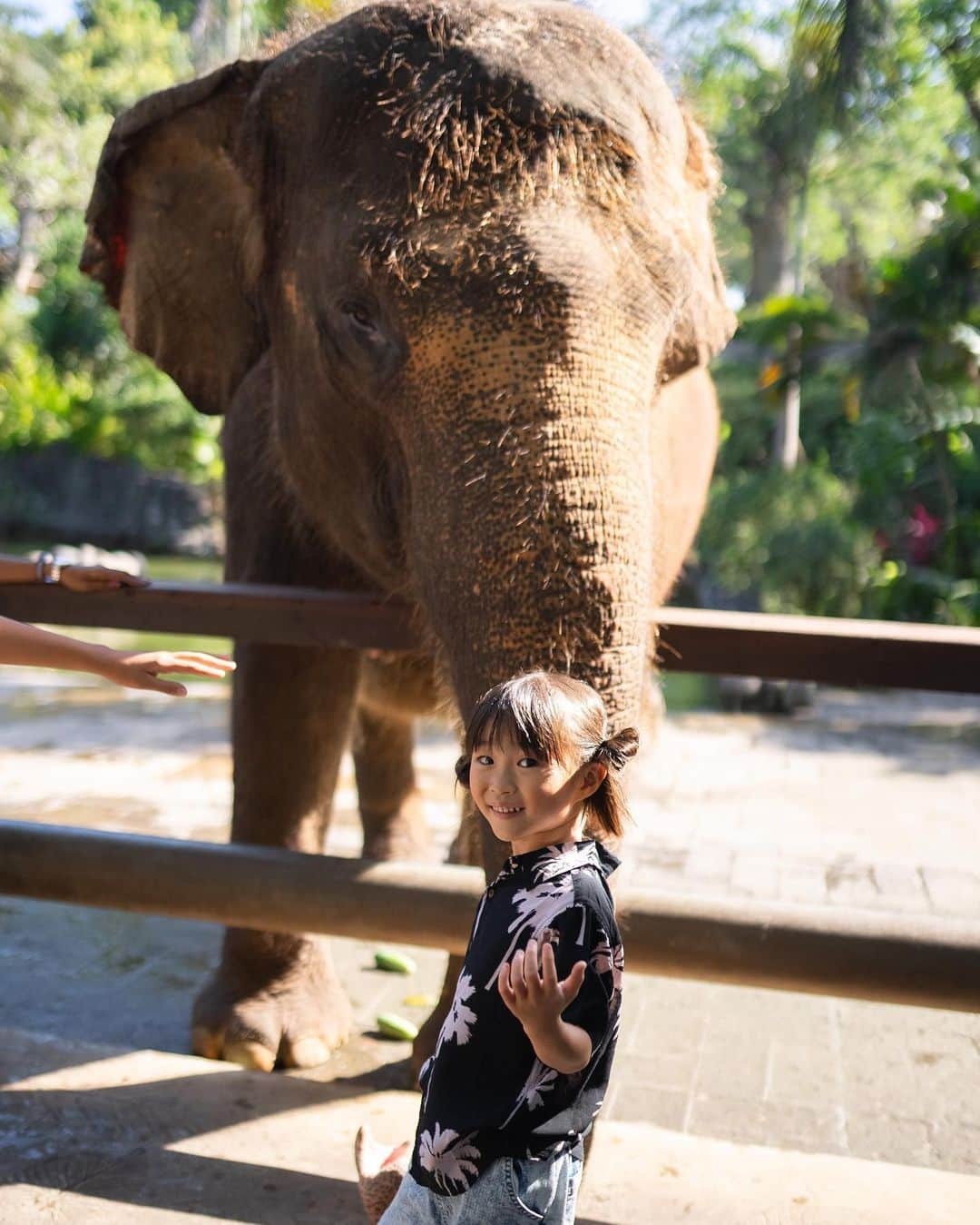 Kyooonさんのインスタグラム写真 - (KyooonInstagram)「Bali Zoo🦣 思い出に写真も投稿 （最後の顔😂）  この日は仲良しのお友達も一緒に👭  お友達は生後4ヶ月からバリに住んでいて（今は5年生） 日本語、インドネシア語、英語が話せてお仕事として通訳をお願いすることも‥😳  この歳から自分で仕事にできる力あるってすごいよね🥺👏  どんな環境の中でも、自分自身で豊かな人生を生きることができる！ 娘たちもそんな心や力を高めて欲しいな〜  #」9月20日 21時45分 - fancykyon