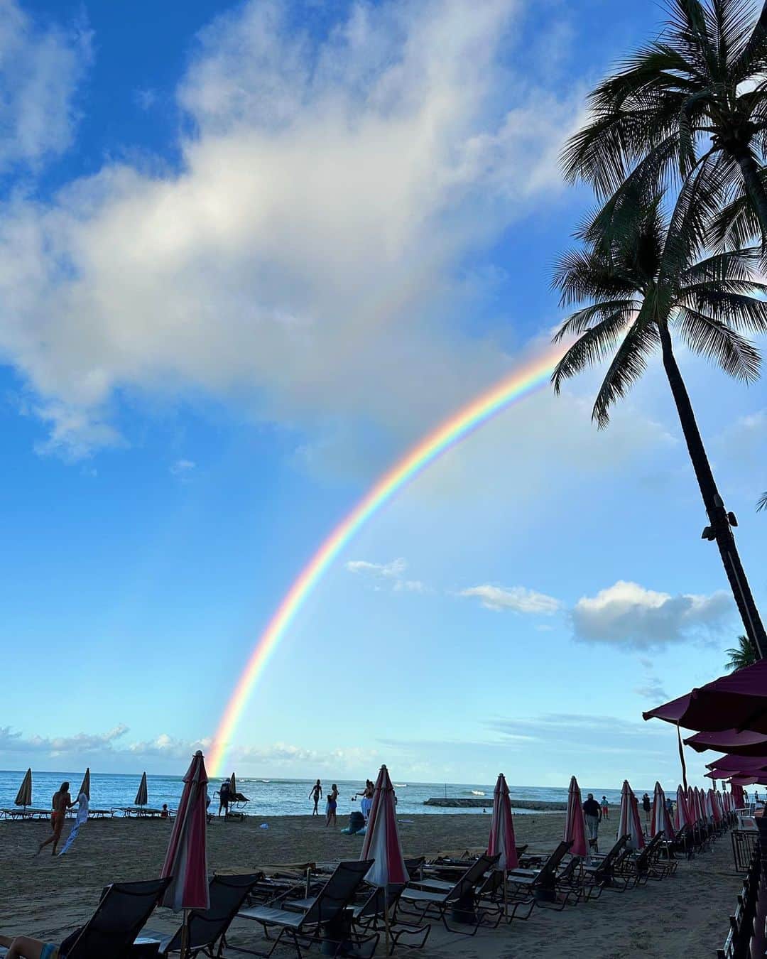 大志（DOWBL）のインスタグラム：「2本の虹(よく見てみて)を見れて、 サーフィン中は目の前にウミガメいて、 これを体験できただけでも 本当に行って良かったと思えたハワイ🌈  来年またすぐ行くし、 仕事頑張るぞ💪  #hawaii」