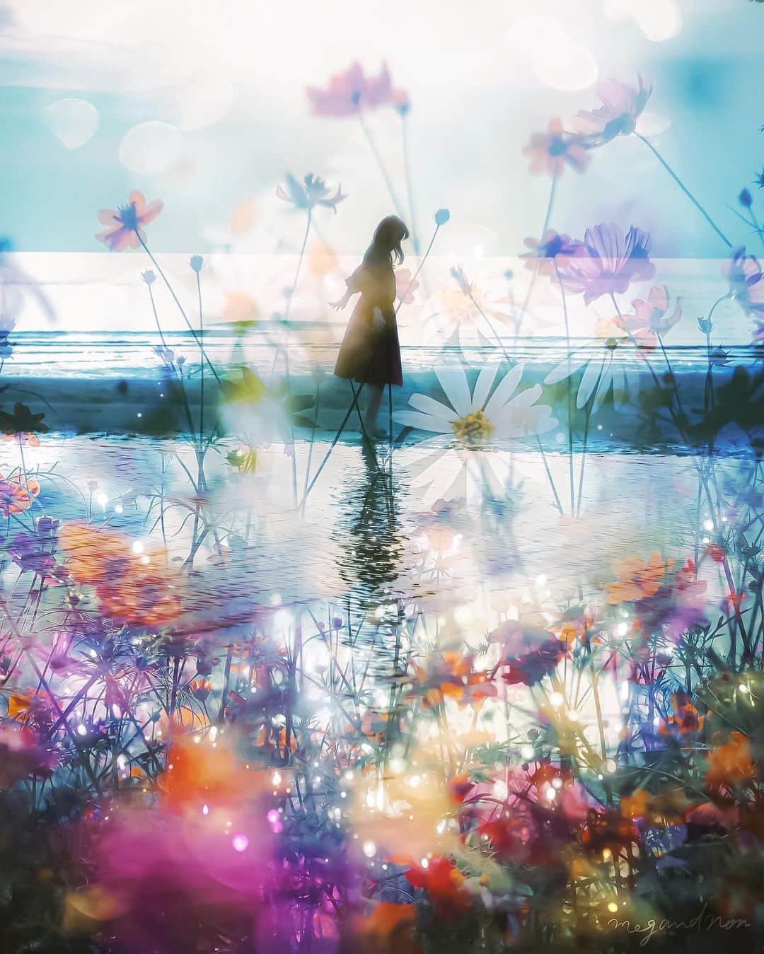 メグのん♡ A k i k oのインスタグラム：「🧡 Pentax Super-Takumar 55mm F1.8 . . . 花　と　海 . . . 💙 Edited by Lightroom,Procreate  VIVANTの次のお楽しみは きのう何食べた？です😊」