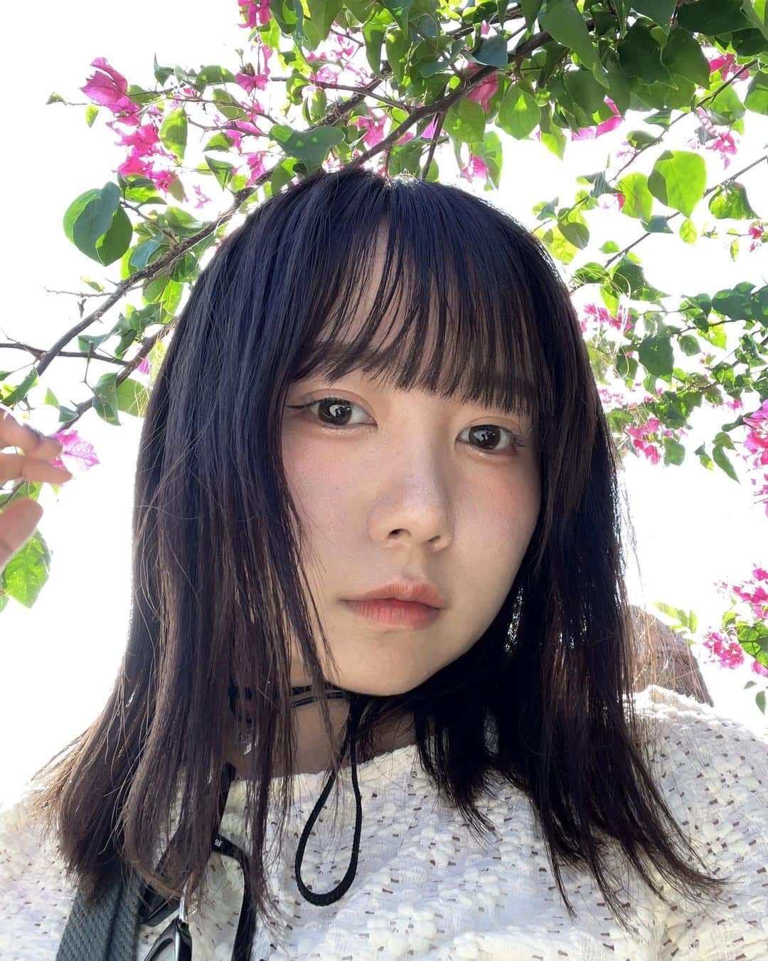 むくのインスタグラム：「🍧🐈🌟ずっといたかったよーー」
