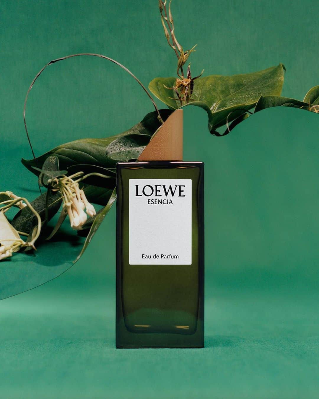 Loeweさんのインスタグラム写真 - (LoeweInstagram)「LOEWE Perfumes Botanical Rainbow 2023 campaign featuring LOEWE Esencia.  See the campaign on loewe.com  #LOEWEbotanical #LOEWEperfumes」9月20日 23時02分 - loewe