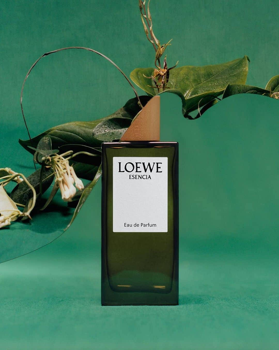 Loeweのインスタグラム