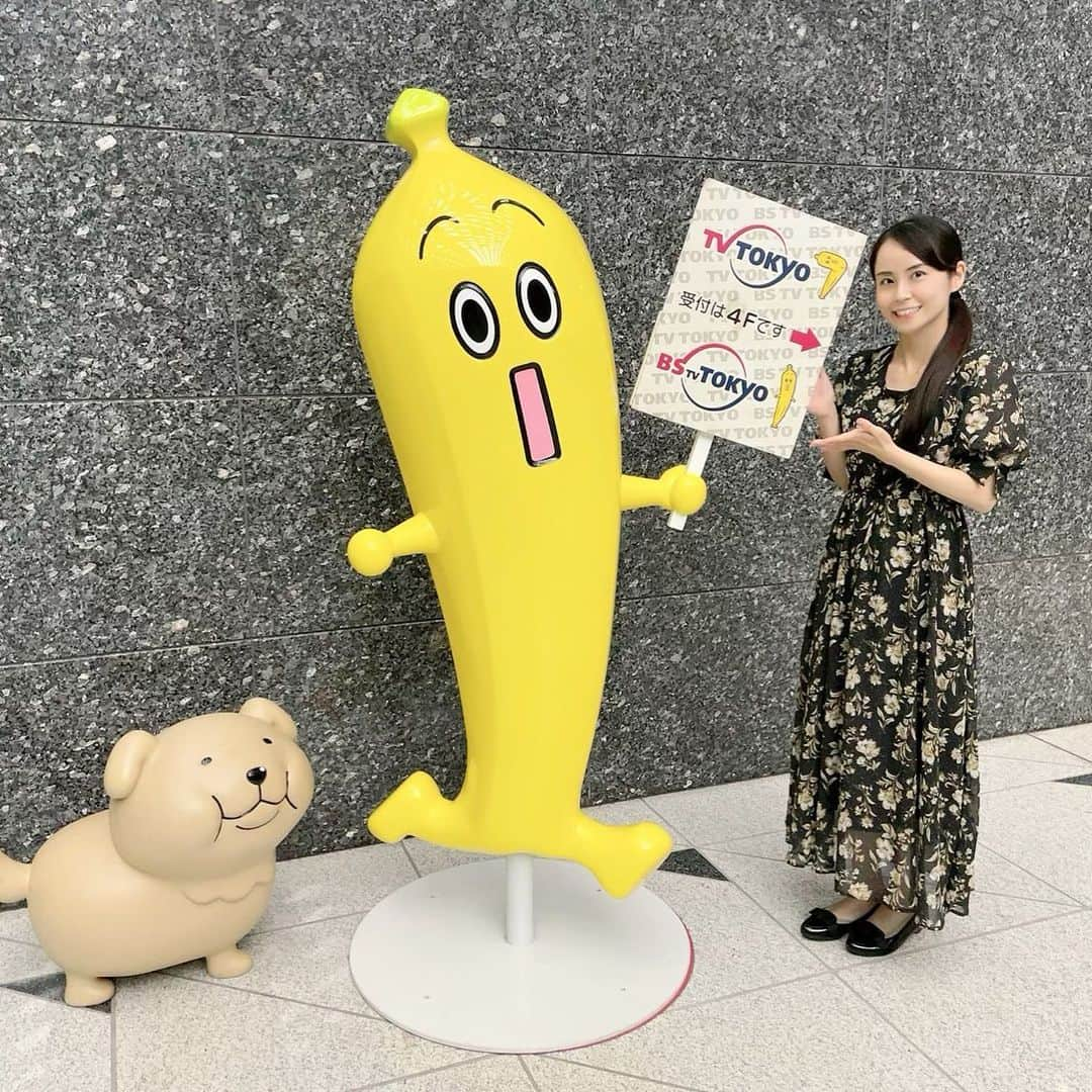 加藤美和のインスタグラム：「. Was the interpreter at TV TOKYO! Took a picture with the mascot of TV TOKYO “Nanana”!  . テレビ東京で通訳を🍀 関係者の皆様、お疲れ様でした！ . @miwakato_ ←他の投稿はコチラ . . #tvtokyo #interpreter #bilingual #テレビ東京 #通訳 #バイリンガル」