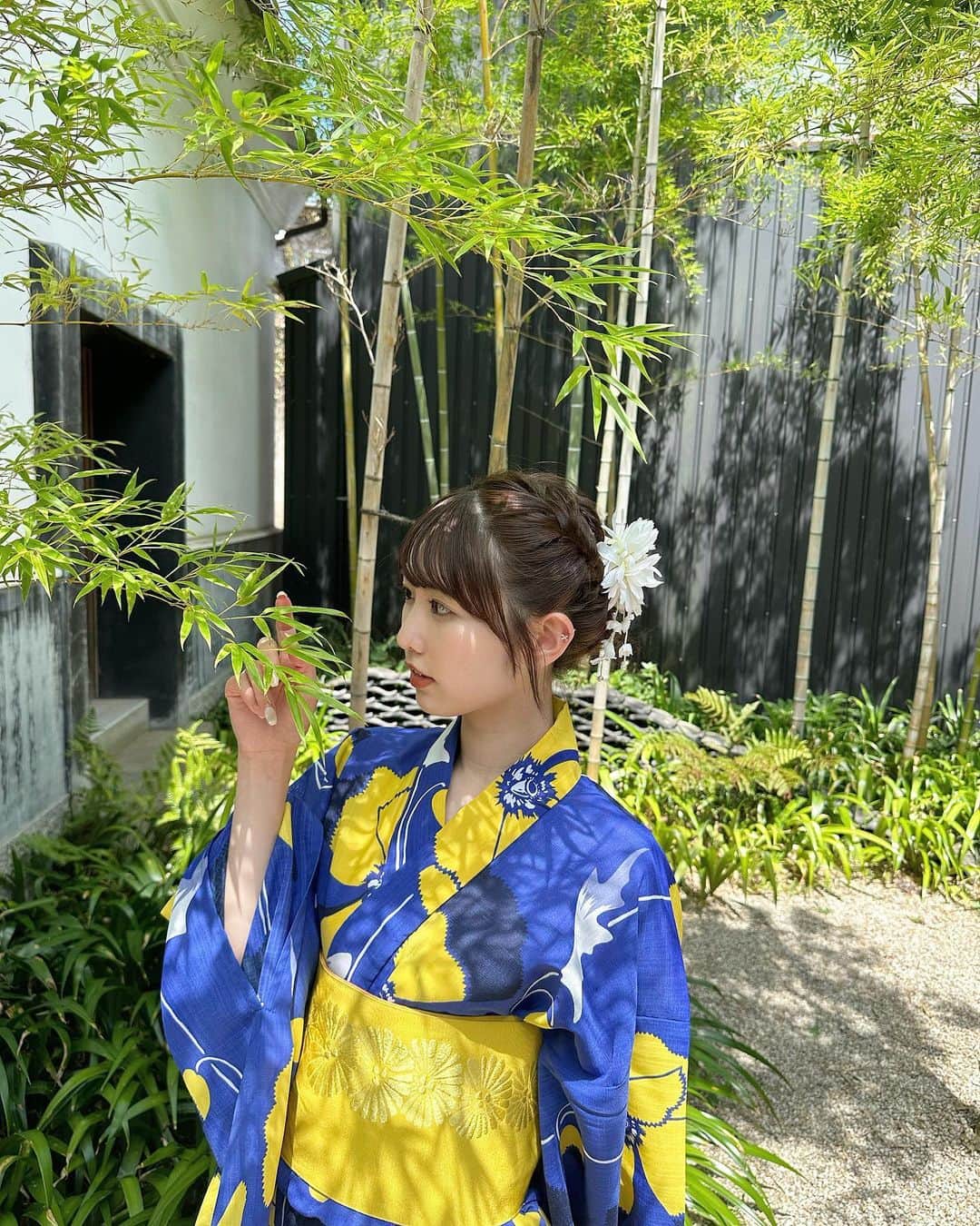 のインスタグラム：「載せてない残りのしゃしんたち🪿 のせておく🪿おやすみ🪿」
