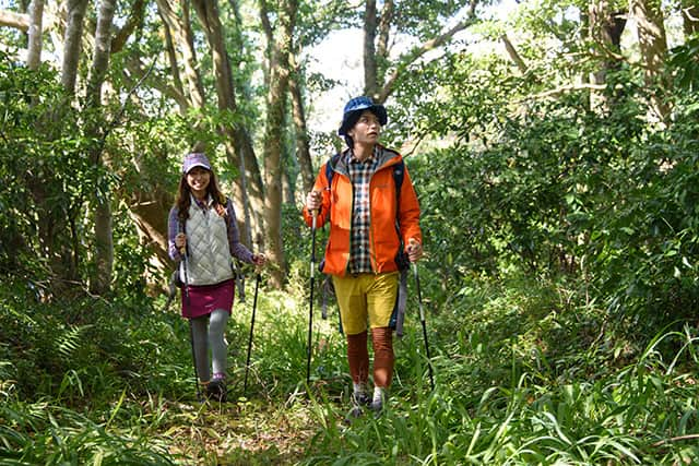 日本の国立公園さんのインスタグラム写真 - (日本の国立公園Instagram)「Visit Japan’s Cat Island and neighboring Ajishima Island this winter on the Michinoku Coastal Trail 🐈🚶‍♀️  The 1,025 km Michinoku Coastal Trail includes a charming section in Miyagi from Ishinomaki Port to Ayukawa Port via Tashirojima, also known as Cat Island, and the nearby island of Ajishima. These islands are blessed with a mild climate and offer tranquil hiking with vibrant autumn foliage. 🍁🥾  The first ferry takes hikers from Ishinomaki to Odomari Port on Cat Island. Cats were originally brought over to help protect the island’s silkworm farms from rats, and they now outnumber the human population by almost four to one! Fishermen also prayed to cats for a big catch, and cats are celebrated at Neko Shrine. ⛴😻  Take the connecting ferry to Ajishima Island and enjoy a beautiful swimming beach and unpaved trails through bamboo tunnels. If time allows, pay a visit to the Dowameki Lighthouse on the southern edge of the island before taking the final ferry to the Ayukawa Port. ⛴🏊‍♀️  Hiking through the relaxing scenery of these tiny islands, both with only a small number of residents, showcases a unique window into a Japan far away from the hustle and bustle of city life. ☀️🎒  📍 Tashirojima and Ajishima Islands, Miyagi   📸 Hikers looking at the sea near Dowameki Lighthouse 📸 Hikers at Odomari port 📸 Hiking through the forest 📸 A stray cat with hikers in the background  #NationalParksJP #SanrikuFukkoNationalPark #Tashirojima #Ajishima #Miyagi #WinterHikes #CatIsland #MichinokuCoastalTrail #WinterWalks #JapanTravel #Japan #Travel #Tourism #ExploreJapan #DiscoverJapan #VisitJapan #日本 #国立公園」9月22日 10時00分 - nationalpark_japan