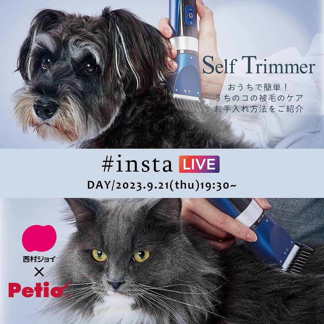 Petioのインスタグラム