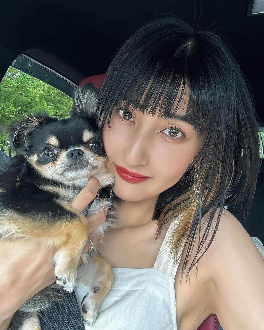 Lisaのインスタグラム：「. 11月にもう一歳を迎えるうちのベイビー🐶  早すぎて嬉しいけど寂しい気持ちも大きいです🥲🥲笑 ほんと成長は一瞬ですね😭😭  元気にすくすく育ってますがめちゃくちゃやんちゃになってきて子育て大変です。笑笑 そしてほんとに性格が変なのか謎行動が多い、、🤦🏼‍♀️笑 完全に自分のこと人間だと思ってる。笑  やっと少しずつ涼しくなってきたからまたたくさん お出かけ行こうね🙆🏼‍♀️みんな犬会しましょー❤️🖤  #愛犬#犬スタグラム#息子#ゆっけ」