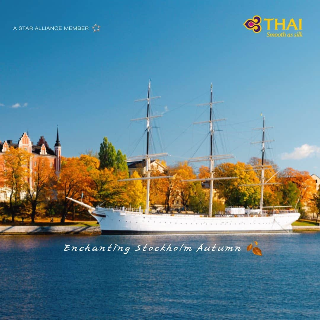 タイ航空さんのインスタグラム写真 - (タイ航空Instagram)「Are you envisioning an autumn escapade? Ready to fall in love with Stockholm's autumnal charm? 🍂🍁 Plan your visit now and experience the magic firsthand with daily flight service! Book now at thaiairways.com or click the link in our bio. ✨  #thaiairways #smoothassilk #stockholm #sweden #tg #tg960 #StockholmAutumn #fallinlovewithfall」9月21日 11時22分 - thaiairways