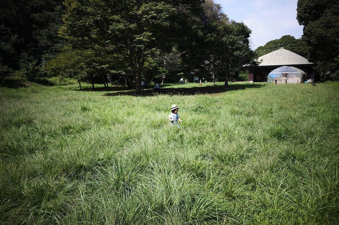 KIKIのインスタグラム：「鎌倉の自然豊かな公園で アルノーさんのアート教室に参加 大きな木の下で みんなで地べたに座ってお絵かき🎨✨  この日のテーマはクリムト ぐるぐるの生命の樹 妹も一緒に参加したのは初めて 小さい子の感性って ほんと自由でいいなぁといつも思う クリムトの見本があったけど その通りになんて絶対に描こうとしない😂 これがずっと続くといいな  撮影は ライカにクラシックタイプのレンズ ライカの方に言われて気づいたけれど 縁の色合いが自然と沈む🖤 デジタルでもいつも使っているフィルムカメラみたいに撮りたいと言う私のリクエストに応えてくれるうれしい組み合わせ #かまくらアトリエアルノー #クリムト #生命の樹 #leicam11 #ズマロンm28mmf56」