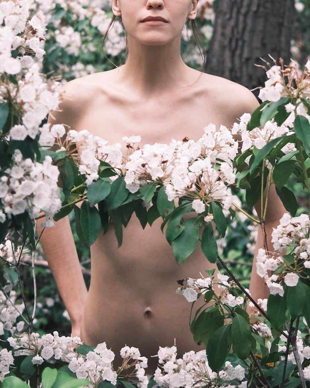 サマンサ・グラドヴィルさんのインスタグラム写真 - (サマンサ・グラドヴィルInstagram)「In my earthly element 🌸🌿   The most magical mountain laurels captured on film @fujifilmx_us by @wincenc 🎞️ #filmforever」9月21日 2時34分 - samgradoville