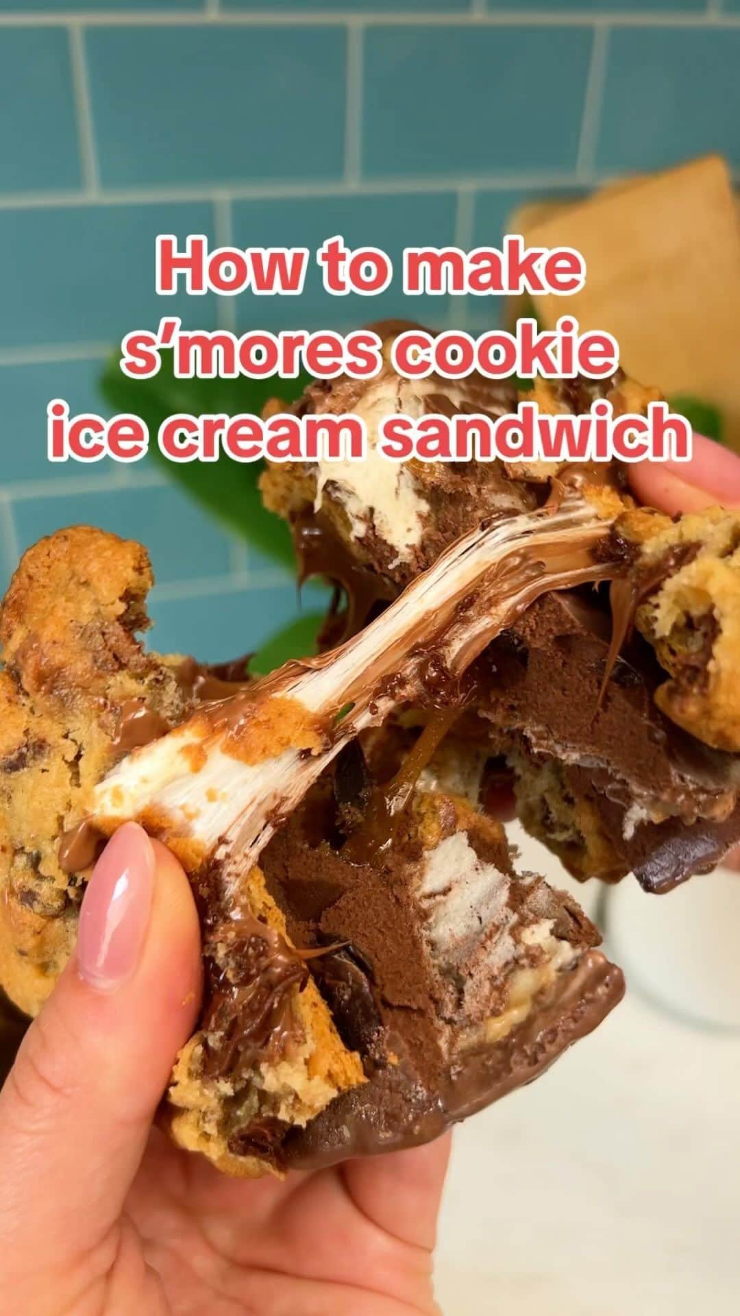 のインスタグラム：「We turned the decadence-o-meter up to 11 for this one. #benandjerrys #icecream #smoresrecipe #smorescookie #smores #icecreamsandwich」