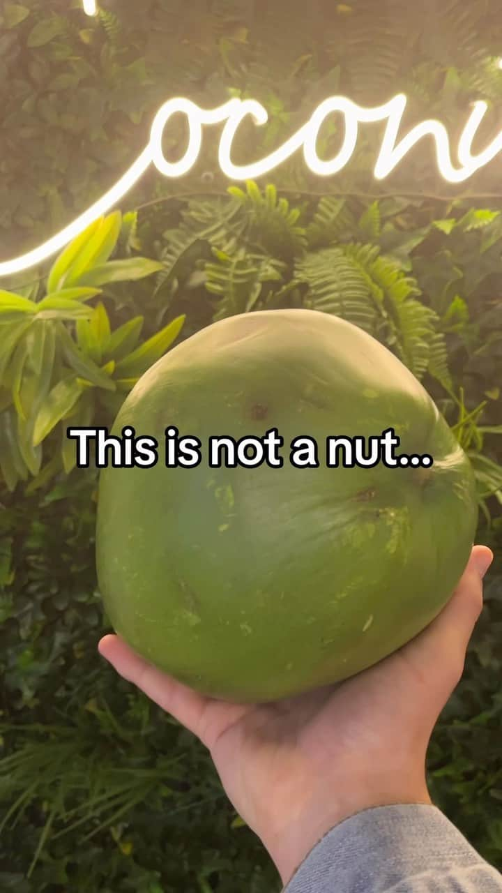 Vita Coco Coconut Waterのインスタグラム：「Coconuts are not nuts. They’re drupes. Now you know.」