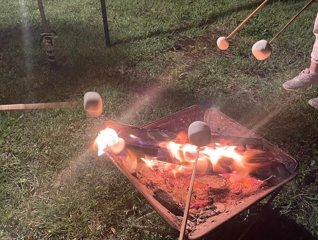 市井紗耶香さんのインスタグラム写真 - (市井紗耶香Instagram)「. camping.🏕️  久しぶりのキャンプで癒されてきました〜やっぱり火はいいよねぇ🔥 26°⇔19° ハンモックでうたた寝…も良きかな🐞 この気候も最高☺️  ひと足早く秋を感じたよ🍁  #camping #キャンプ #キャンプ好きな人と繋がりたい #焚き火 #朝霧ジャム #ひと足お先にくるりを聴く #焼きマシュマロ #アウトドア #休日 #テント #ハンモック #富士山 #朝霧高原 #ふもとっぱら」9月21日 5時37分 - sayakaichii