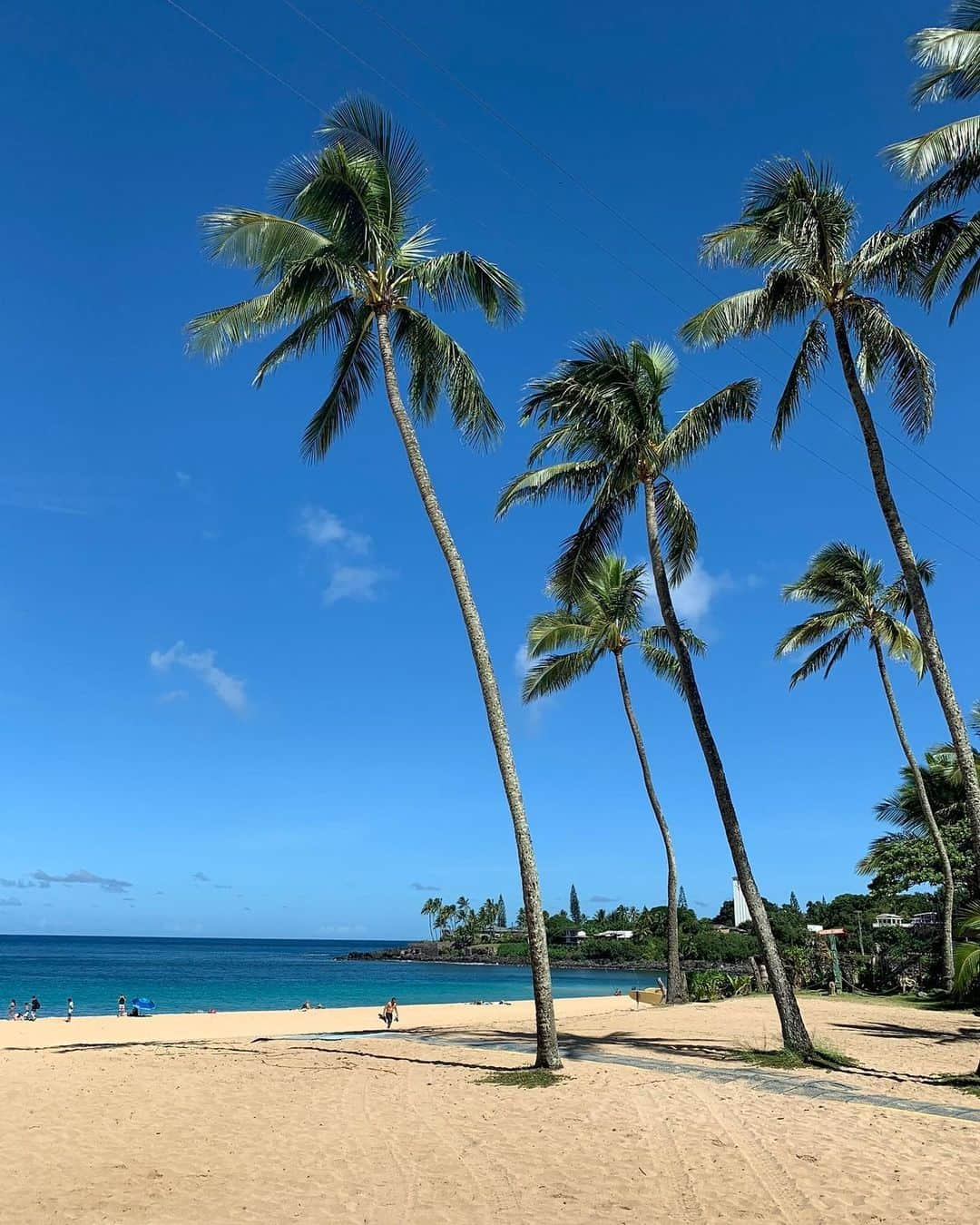 モーガン・ミッチェルのインスタグラム：「F45 Hawaii knows what’s up. I have no words, y’all feel like family. Mahalo Nui for having me🙏🏾♥️🌊   @f45_training  @f45_training_kapoleiwest  @f45_training_hawaiikai  @f45_training_alamoana  @f45_training_kahala  @f45_training_pearlridge  #F45Training #F45Partner #Training #Hawaii」