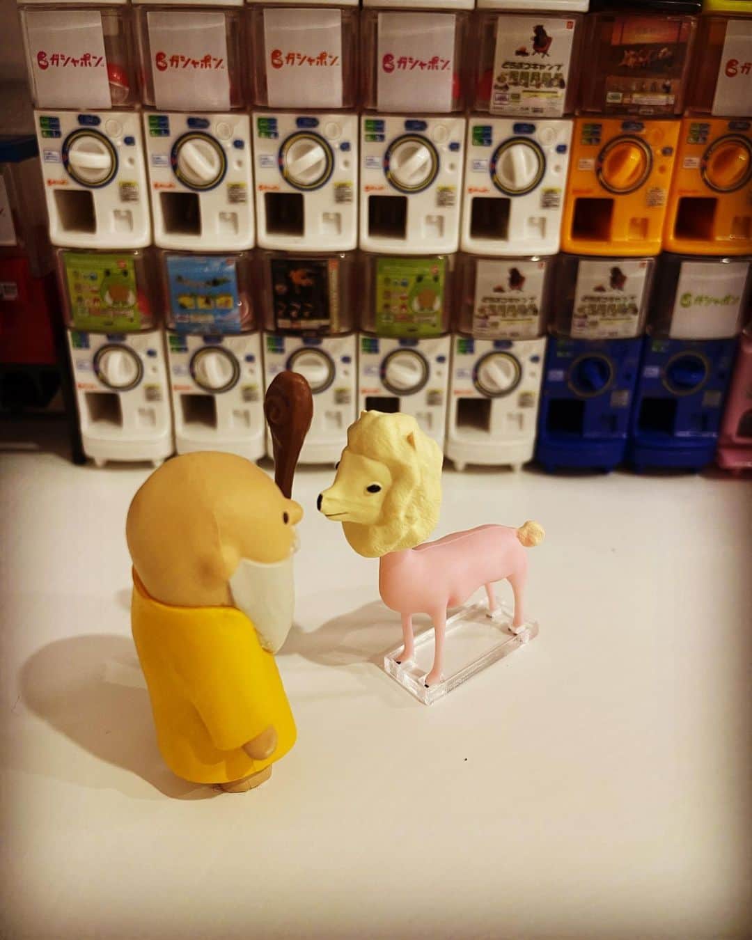のインスタグラム：「友達からの贈り物🎁  キモっ‼︎ サマーカッツ　アルパカだって（笑 最近地球が暑すぎるから サマーカットしたらしい。  開発者さん達も良く考えるよねぇー。 肉づきがリアルで怖いわ。  でも友達からの贈り物🎁だから 大切に飾ります♡  ありがとーー(*´꒳`*)  #ガチャガチャ #ガシャポン #ガチャポン #ミニチュア #カプセルトイ #ガチャ沼 #友達からの贈り物」