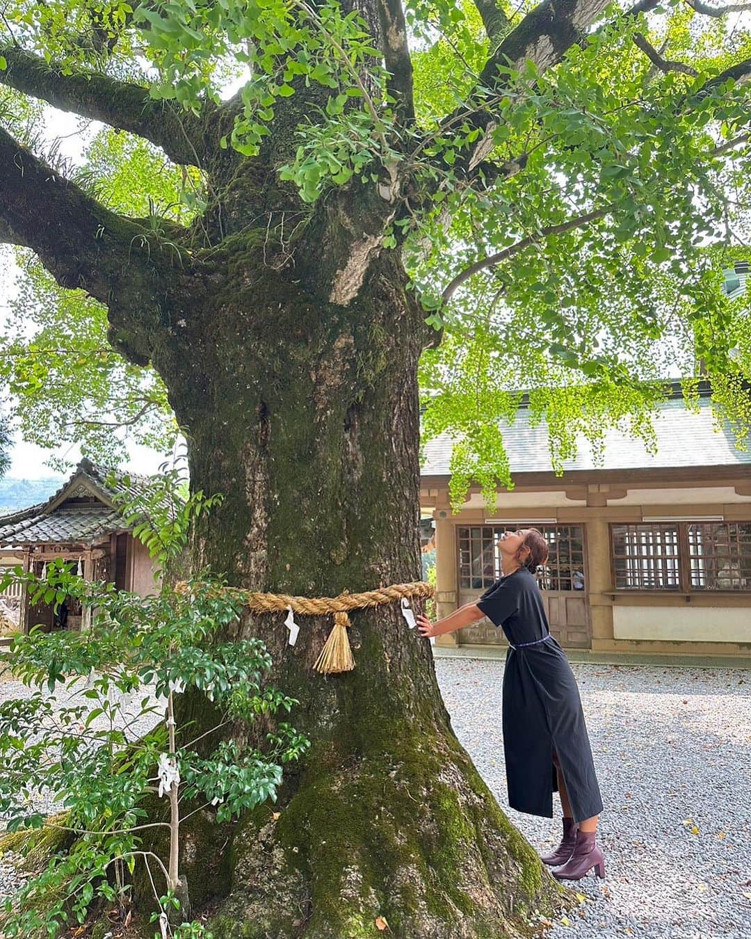 エマ中岡優姫のインスタグラム：「宇和島出張😊 仕事前に散策するの好き🥰 パワーもらえて 仕事も楽しくできました😋 出張の1つの楽しみだね✨ 朝活最高🥳 #出張  #和霊神社  #愛媛県  #宇和島  #朝活」