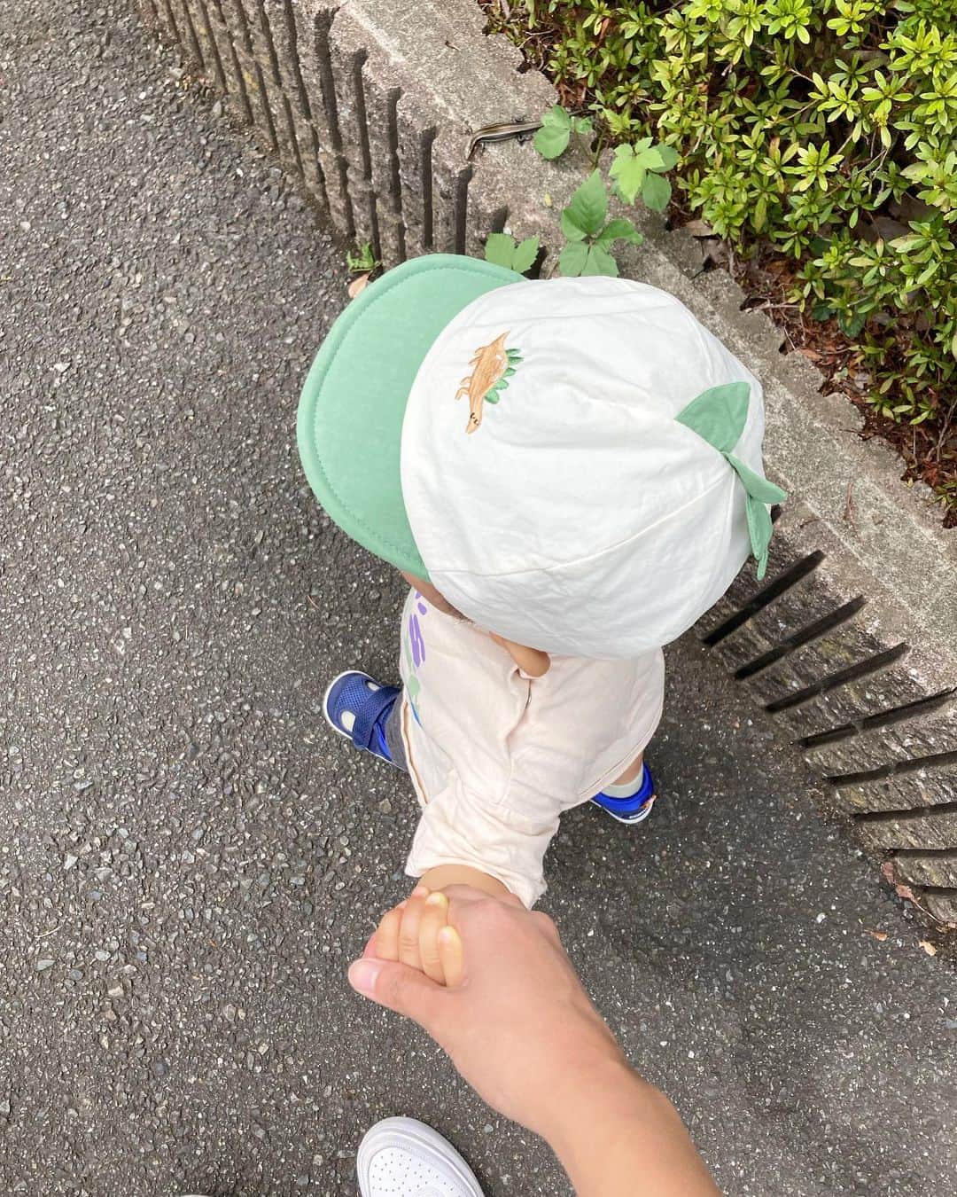 徳永千奈美のインスタグラム：「Morning walk 👶🏽  よく見たら写真にトカゲが写ってる!! どーこだ?!  #1歳半 #赤ちゃんのいる生活」