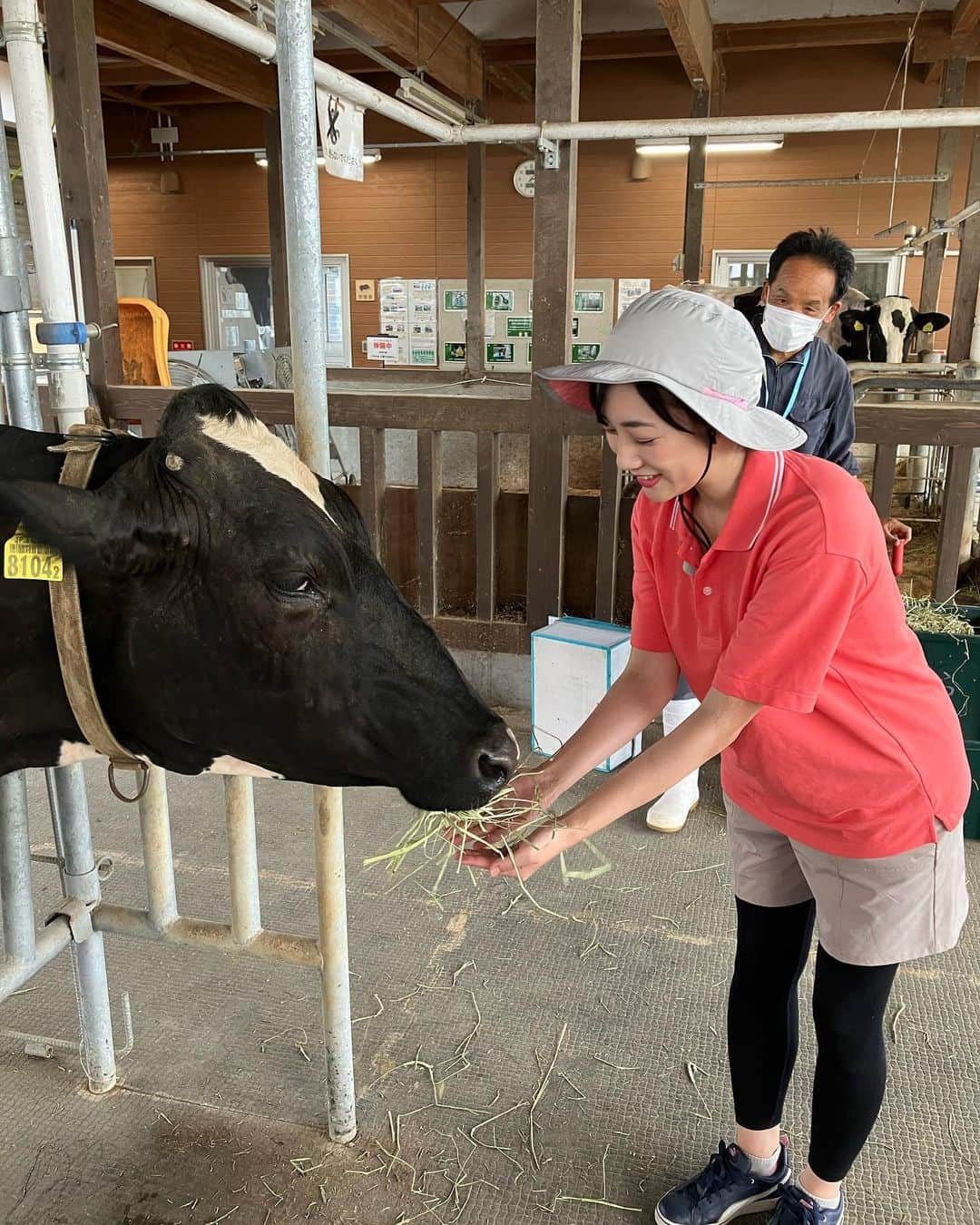 松本亜美さんのインスタグラム写真 - (松本亜美Instagram)「昨日のばんえつ横断お国自慢🐮 のオフショット！  初！牛の搾乳体験をしました！ ご挨拶から始まり、練習をして、実践！！力加減が難しく再練習の時間も設けられましたが、無事にミルクをいただくことができました🍼 子牛のためのミルクなんだよ、と体験した人に伝えているとのことで、食育にもつながっているなと感じました！  牛さんの温もりも感じた体験でした🐄  #teny #テレビ新潟  #夕方ワイド新潟一番  #ばんえつ横断お国自慢 #オフショット  #福島 #新潟  #新潟市アグリパーク  #搾乳体験 #初 #牛さん #さくらちゃん #ふれあい体験  #アナウンサー  #松本亜美」9月21日 20時46分 - ami_matsumoto_teny