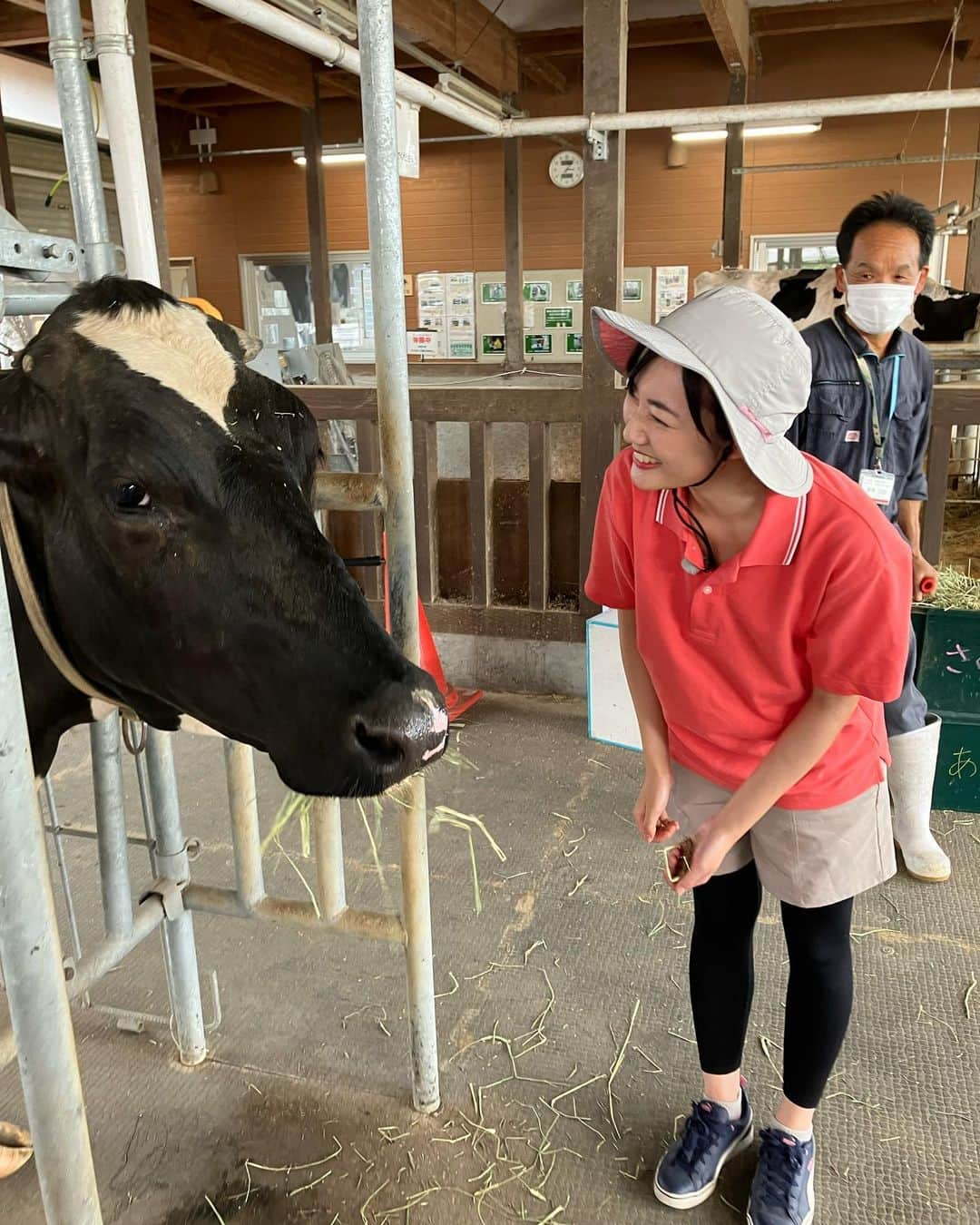 松本亜美さんのインスタグラム写真 - (松本亜美Instagram)「昨日のばんえつ横断お国自慢🐮 のオフショット！  初！牛の搾乳体験をしました！ ご挨拶から始まり、練習をして、実践！！力加減が難しく再練習の時間も設けられましたが、無事にミルクをいただくことができました🍼 子牛のためのミルクなんだよ、と体験した人に伝えているとのことで、食育にもつながっているなと感じました！  牛さんの温もりも感じた体験でした🐄  #teny #テレビ新潟  #夕方ワイド新潟一番  #ばんえつ横断お国自慢 #オフショット  #福島 #新潟  #新潟市アグリパーク  #搾乳体験 #初 #牛さん #さくらちゃん #ふれあい体験  #アナウンサー  #松本亜美」9月21日 20時46分 - ami_matsumoto_teny