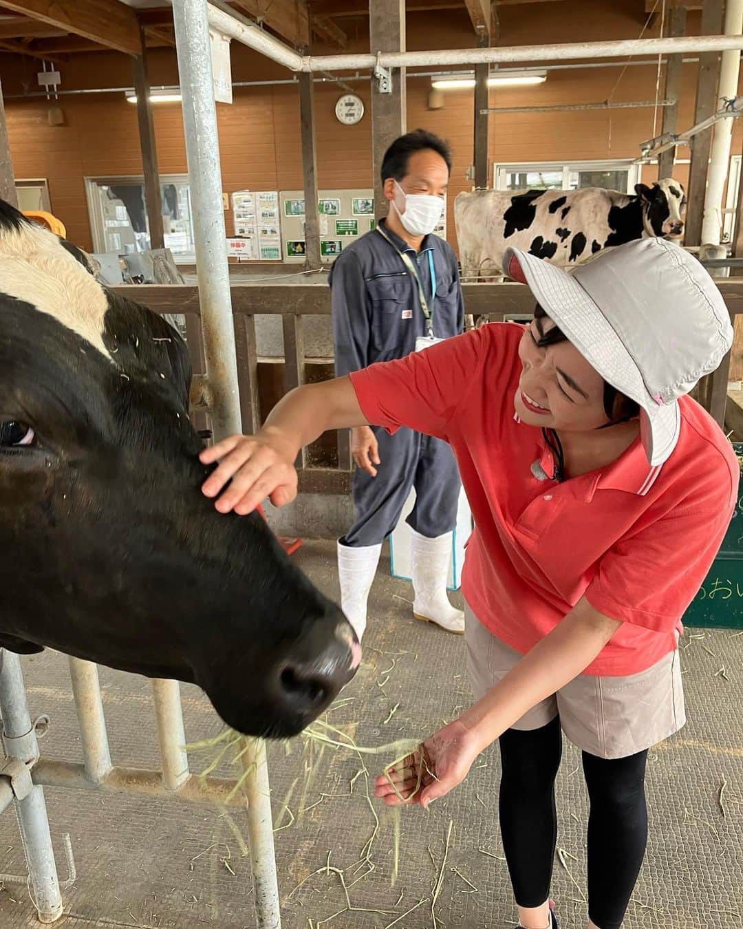 松本亜美さんのインスタグラム写真 - (松本亜美Instagram)「昨日のばんえつ横断お国自慢🐮 のオフショット！  初！牛の搾乳体験をしました！ ご挨拶から始まり、練習をして、実践！！力加減が難しく再練習の時間も設けられましたが、無事にミルクをいただくことができました🍼 子牛のためのミルクなんだよ、と体験した人に伝えているとのことで、食育にもつながっているなと感じました！  牛さんの温もりも感じた体験でした🐄  #teny #テレビ新潟  #夕方ワイド新潟一番  #ばんえつ横断お国自慢 #オフショット  #福島 #新潟  #新潟市アグリパーク  #搾乳体験 #初 #牛さん #さくらちゃん #ふれあい体験  #アナウンサー  #松本亜美」9月21日 20時46分 - ami_matsumoto_teny