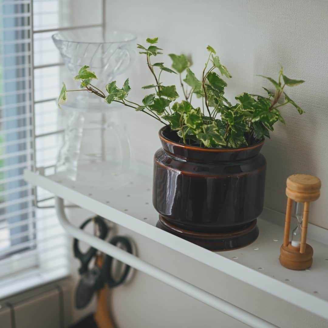 北欧、暮らしの道具店さんのインスタグラム写真 - (北欧、暮らしの道具店Instagram)「【NEW】お気に入りの雑貨みたいに。 好きな景色をつくる「植木鉢」 . - - - - - - - - - - - -  いつもの部屋に小さな植物を 1つ迎えるだけで、暮らしの景色は ずっと新鮮に感じられます。  そんな時に必要になる植木鉢を 普段は商品の仕入れを担うバイヤーと 商品プランナーによる "社内コラボ"で作りました！  普段多くのアイテムを見ている バイヤーのアイデアも取り入れながら、 見た目も機能性も「こうだったらいいな」 という想いを1つずつ形にした、 とっておきの自信作です。  ご用意したのは色と形が異なる2つのデザイン。 それぞれ鉢と受け皿のセットでお届けします。  1番のこだわりは、 植物ともインテリアとも相性がいいデザイン。  「暮らしの道具」をテーマに、 身近にある小さなお鍋や花瓶を 彷彿とさせる形をイメージして作りました。  受け皿付きなので床や棚が汚れにくく、 水やりのときも安心です。  さらに、鉢の底には複数の穴が空いている仕様。 たっぷり水やりをしても中に水が溜まりにくく、 植物を健やかに保つのに役立ちます。  お店で売られているプラスチック鉢のまま ポンと入れるだけでもOK。  植え替えはせずに鉢カバーのように使えば、 より気軽に植物を迎えられます。  植物の小さな変化を眺めながら 手を動かすひとときは、癒されるだけでなく、 日々にささやかな潤いをもたらしてくれるはず。  この植木鉢とともに、 暮らしの中にグリーンがある景色を 楽しんでいただけたら嬉しいです。 . ーーー 掲載のアイテムはこちら▼ ーーー . ☑︎ 「グリーンひとつから広がる暮らし」陶器の植木鉢（受け皿付き）/ 4号サイズ - - - - - - - - - - - - - - - - - -   ▶︎ お買いものはプロフィールのリンクから ご覧くださいね。→@hokuoh_kurashi . ※ ただいま、商品合計税込5,000円以上をご注文で、 送料が無料になるキャンペーンを開催中！  9月14日AM09:00から9月22日AM10:00までのご注文が対象です。 . 🎁「クラシ手帳2024」プレゼントキャンペーン実施中！お買いものいただいた方に、当店オリジナルの手帳を無料でお届けいたします。 . #interior#interiors#livingroom#homedecor#instahome#homewares #KURASHIandTripsPUBLISHING  #インテリア#北欧インテリア #プランター#植木鉢 #グリーンのある暮らし#植物のある暮らし #リビング#賃貸#賃貸インテリア #マイホーム#インテリア雑貨#シンプル#シンプルライフ #シンプルデザイン#暮らしを楽しむ#日々の暮らし #北欧#暮らし#北欧暮らしの道具店」9月21日 20時01分 - hokuoh_kurashi