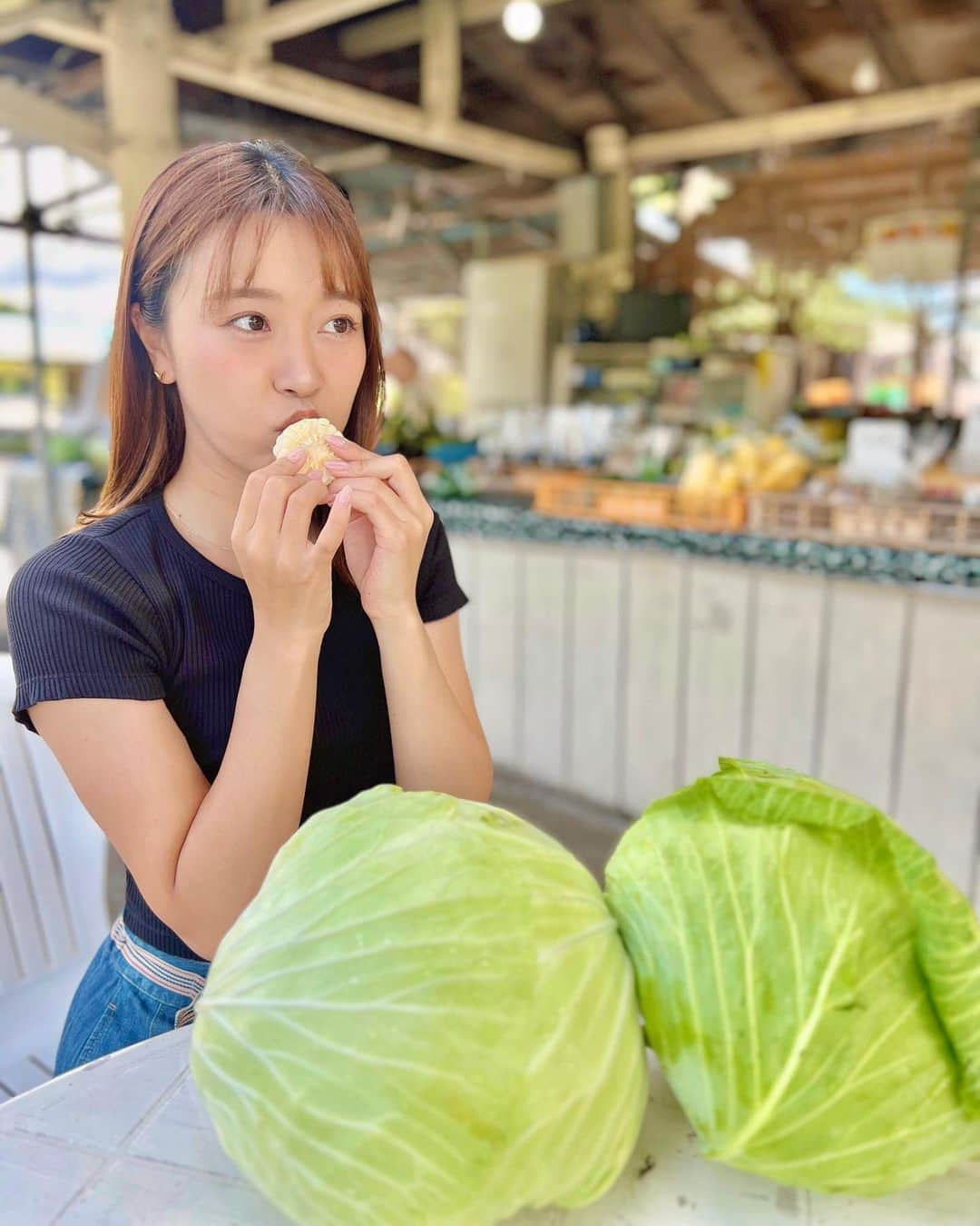 萩原菜乃花のインスタグラム：「シルバーウィークは嬬恋と軽井沢🗻  移動の途中で農家さんの野菜直売所に👩‍🌾 おっきいキャベツととうもろこし買った！  写真は生でも食べられるんだよってくれた白いとうもろこしを食べてるところ。甘すぎてびっくりした〜！！  採れたてのお野菜すっごくおいしい🤤🤍  #軽井沢#嬬恋#旅行#シルバーウィーク#嬬恋キャベツ#野菜直売所」