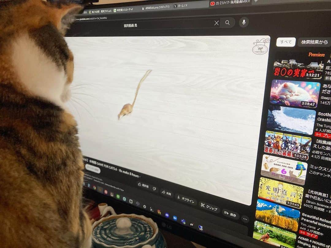 カミサマのインスタグラム