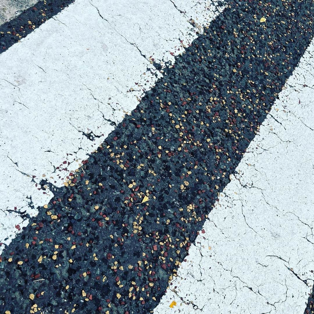 椎名直子さんのインスタグラム写真 - (椎名直子Instagram)「もろもろそそる♡  雨のヨコハマ」9月21日 11時43分 - natadecoco