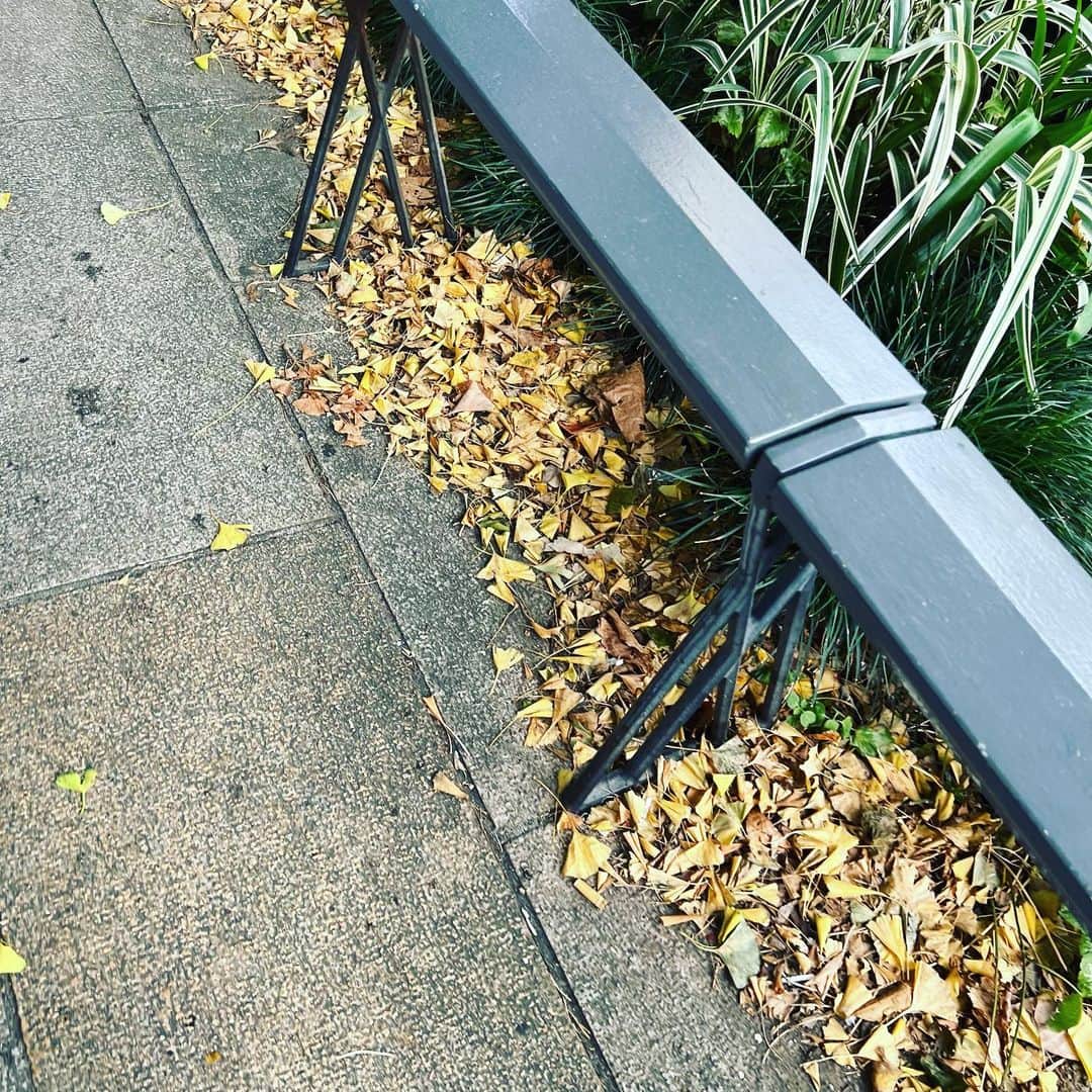 椎名直子さんのインスタグラム写真 - (椎名直子Instagram)「もろもろそそる♡  雨のヨコハマ」9月21日 11時43分 - natadecoco