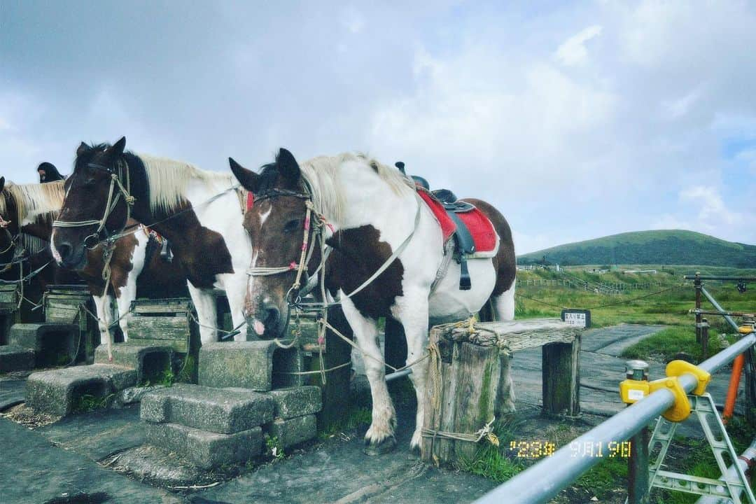 Show-heyさんのインスタグラム写真 - (Show-heyInstagram)「| KUMAMOTO 🍃🍂🌳🌿🐎🌋  熊本良かとこ一度はおいで」9月21日 12時18分 - showhey198366