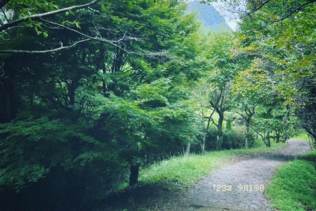 Show-heyのインスタグラム：「| KUMAMOTO 🍃🍂🌳🌿🐎🌋  熊本良かとこ一度はおいで」