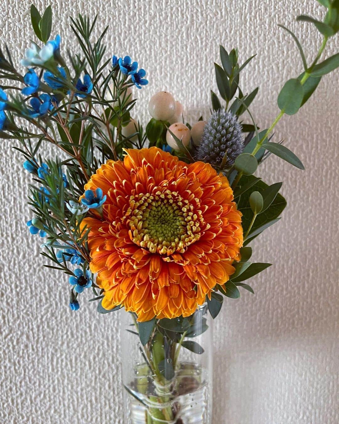 兒玉遥さんのインスタグラム写真 - (兒玉遥Instagram)「現場でいただいたお花たちを愛でる毎日、、、元気もらえます。幸せです。」9月21日 12時22分 - haruka_kodama919