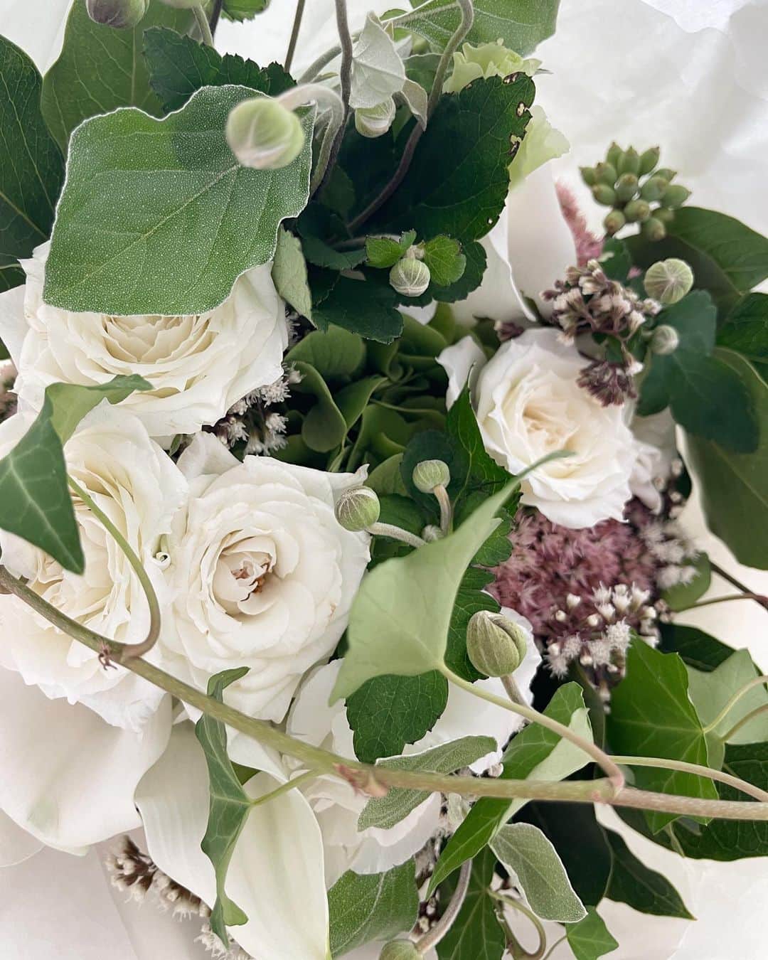 のインスタグラム：「現場でいただいたお花たちを愛でる毎日、、、元気もらえます。幸せです。」