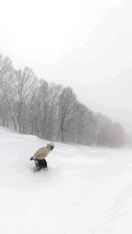 岡本圭司のインスタグラム：「Endless powder in @madarao.ski  It was like diving🤿 Shot by @insta360_jp ONE X3. #yukiyama  #powder  #斑パウ  #werideforever」