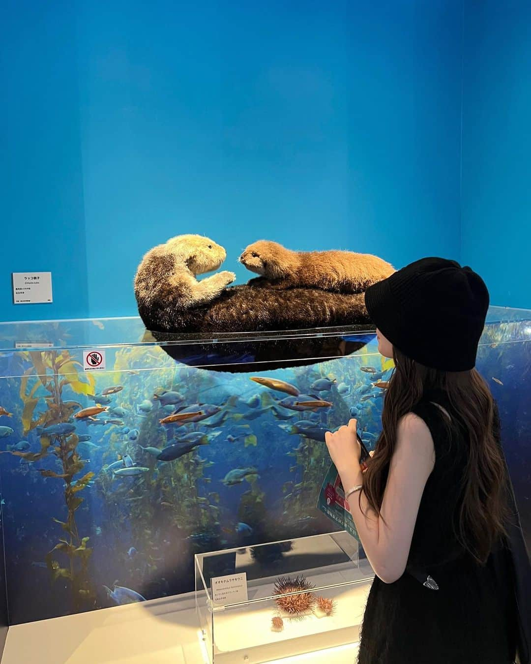 斉藤花耶のインスタグラム：「. 「海ー生命のみなもと」 🦦と🐻‍❄️が特に印象的でした！ 剥製すごい。。」