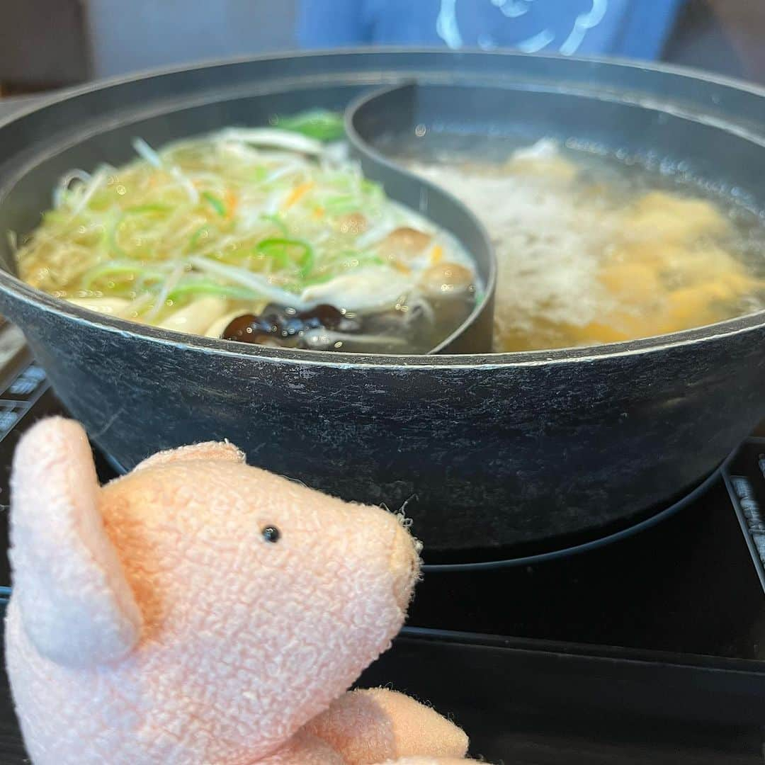 矢崎存美のインスタグラム：「しゃぶ葉に行きました。うちは肉と野菜を分ける派です。そして甘いもの（今日は白玉クリームあずき）はデザートではなく、箸休めに食べる派。 #ぶたぶた #山崎ぶたぶた #矢崎存美 #しゃぶ葉 #食べ放題 #しゃぶしゃぶ」