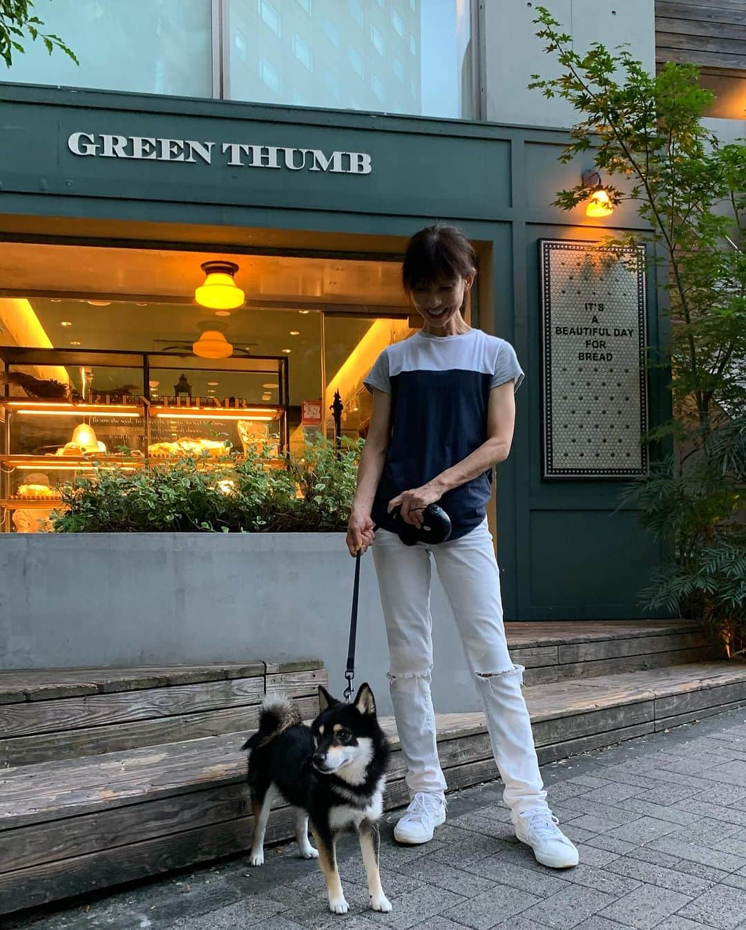 花田美恵子さんのインスタグラム写真 - (花田美恵子Instagram)「いつもと違うお散歩ルート🐾  可愛いパン屋さん🥐 見つけました  カイくんが我が家に来て3年余り  毎日一緒に居るから だいぶ会話ができる様になってきたと思います🐕  #tokyolifestyle #shibainu #mameshiba #kai #3years9months  #豆柴 #カイくん #いつか #人間のことば  #しゃべってほしい」9月21日 13時32分 - hawaiimieko