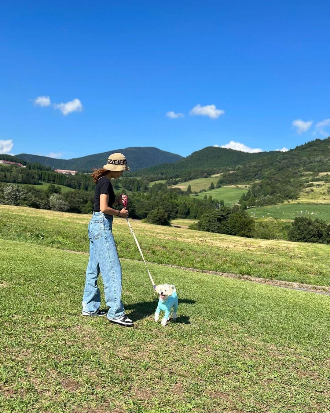 本多末奈さんのインスタグラム写真 - (本多末奈Instagram)「我が家の夏休み🌻 福井県大野市の六呂師高原に行ってきました🐮 たまたまアルプス音楽祭がやっていて いい天気と素敵な景色に囲まれて 自然と音楽を満喫してきました⛰️🎼✨  ミルク工房のソフトクリームの食べ比べもして （濃厚なのとあっさりとがありまして） 山の景色を見ながら食べる環境がとても最高で🍦 普段触れ合えない環境なだけテンション上がるのに とても贅沢な気持ちになりました🥴🫶  マシューも嬉しそうだったな🐶🐾  今はもうビルに囲まれた日常に戻りましたが あの風景が恋しいです⛰️🥲 暑いけど風が涼しくてマイナスイオンたっぷりなのが 山の良いところですね👍また行きたいなー‼︎ 楽しかった私の夏休み☀️  #福井県大野市 #六呂師高原 #六呂師高原アルプス音楽祭 #ミルク工房  #我が家の夏休み #summervacation #familytime」9月21日 14時25分 - honda_mana